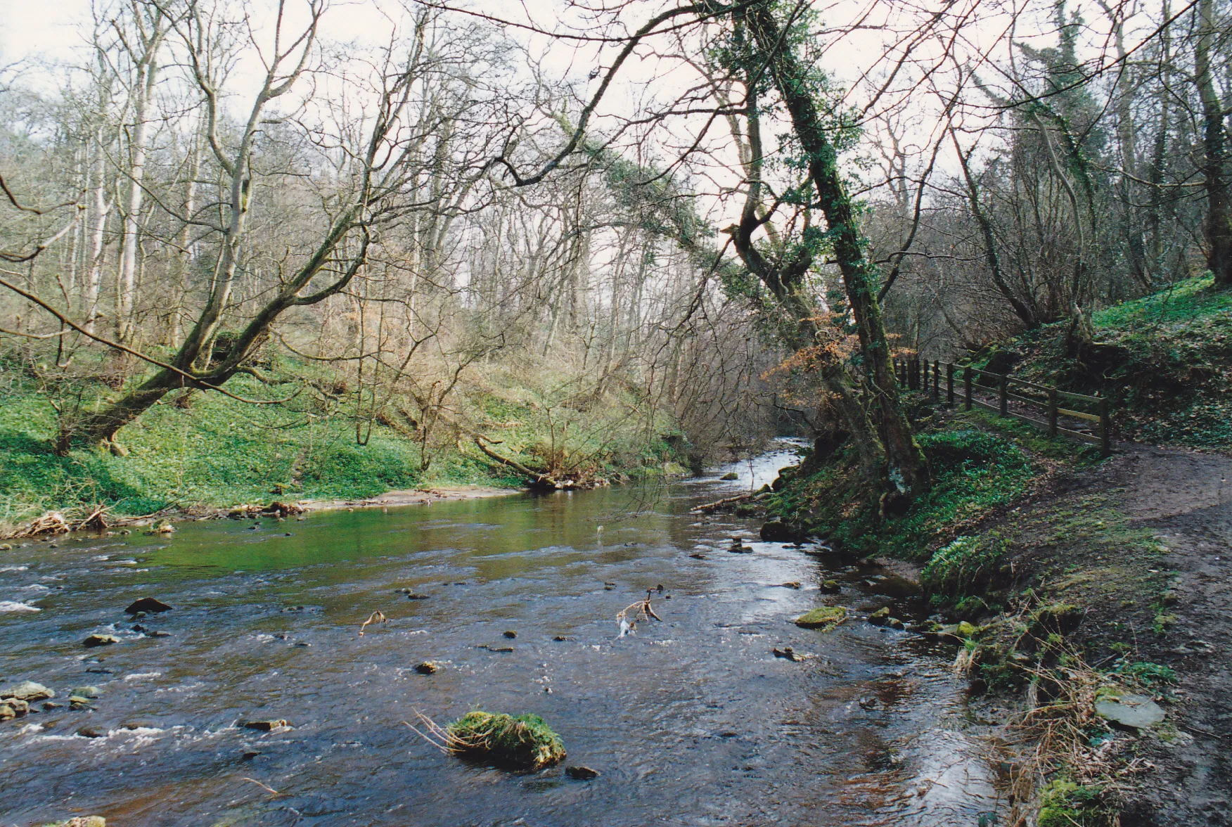 Photo showing: Colinton Dell, Edinburgh, Feb 1991