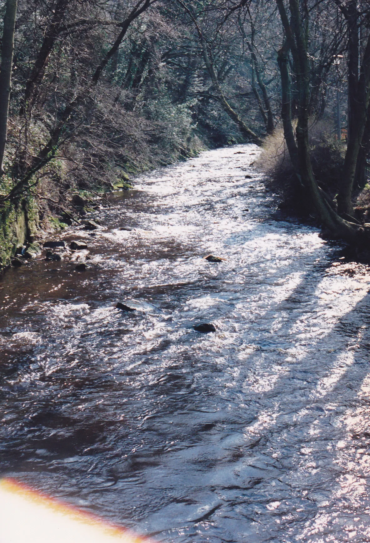 Photo showing: Colinton Dell, Feb 1991