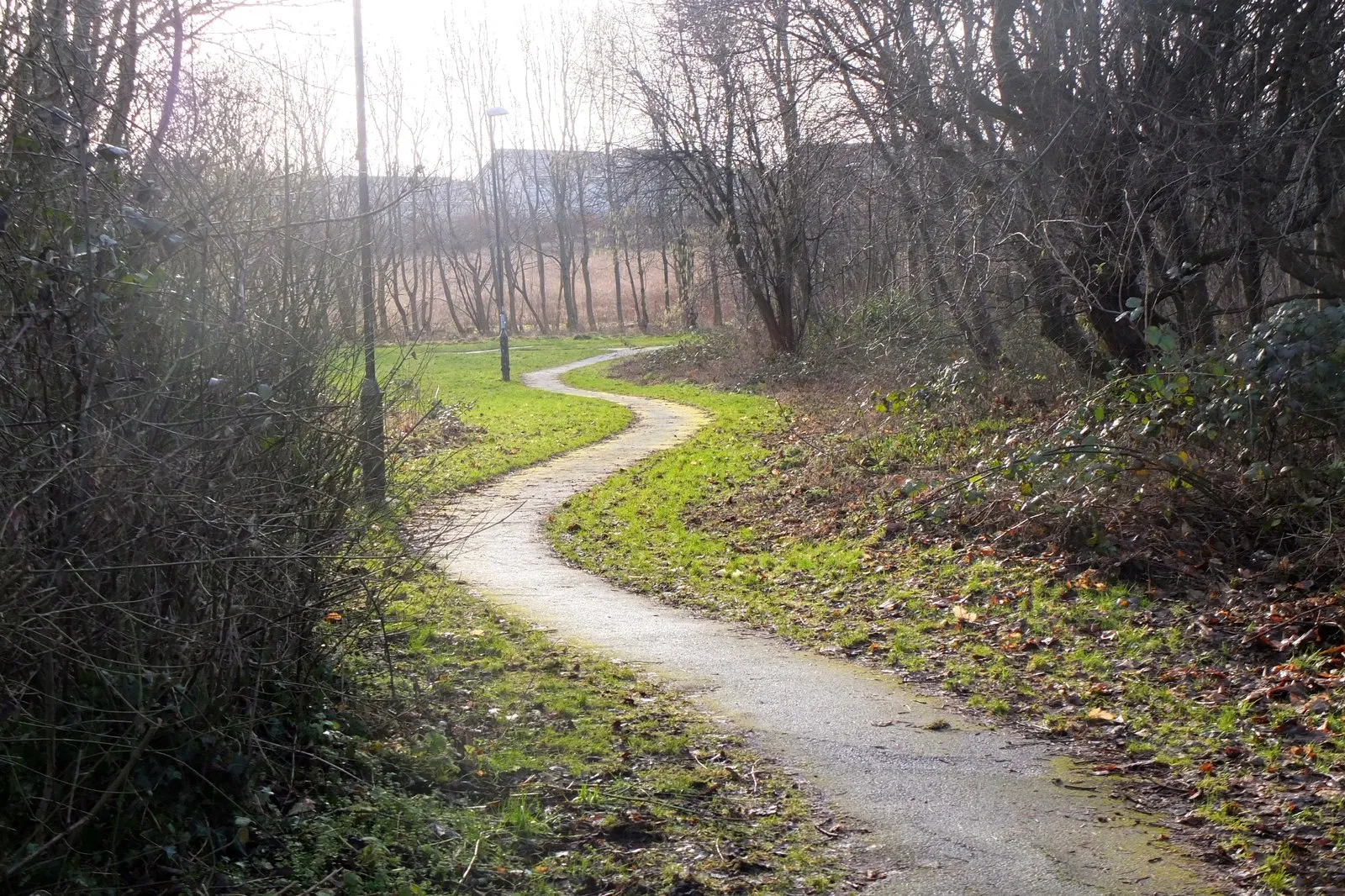 Photo showing: Path in Burdiehouse Burn Valley Park