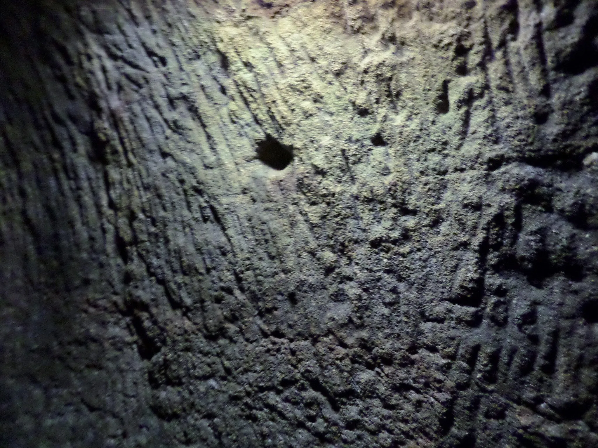 Photo showing: Stone surface finish to the passages and chambers in Gilmerton Cove, Edinburgh, Scotland