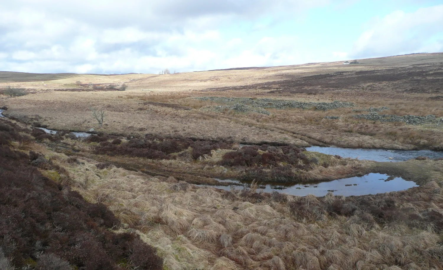 Photo showing: Ford and ruined steading A crossing for farm vehicles below where the Benachally Burn joins the Baden Burn to form the Lornty Burn.