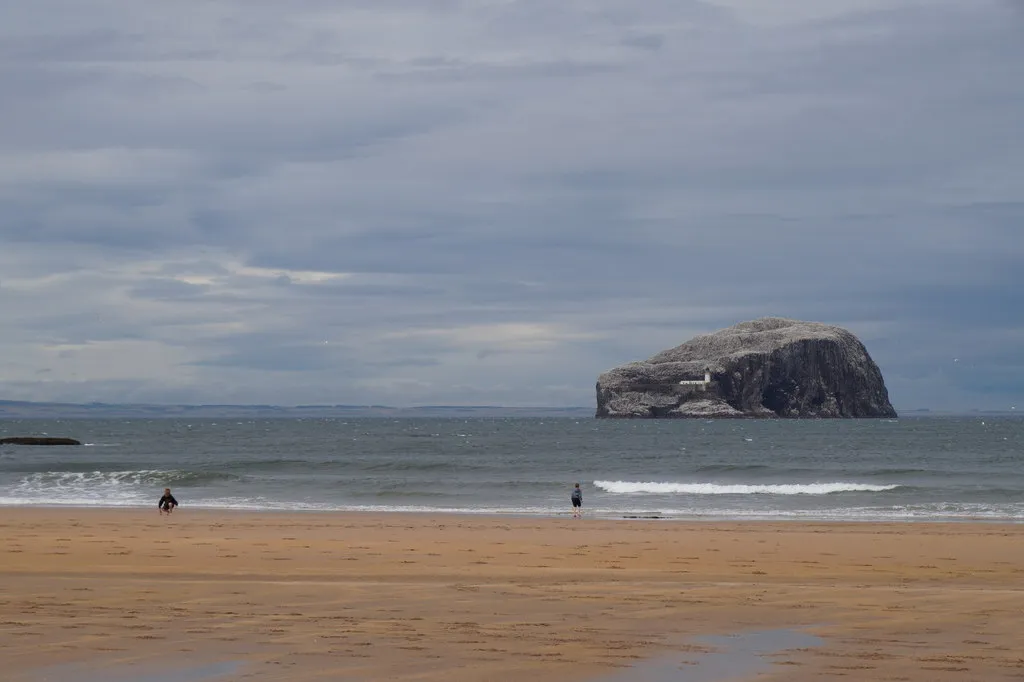 Photo showing: Bass Rock from Seacliff beach