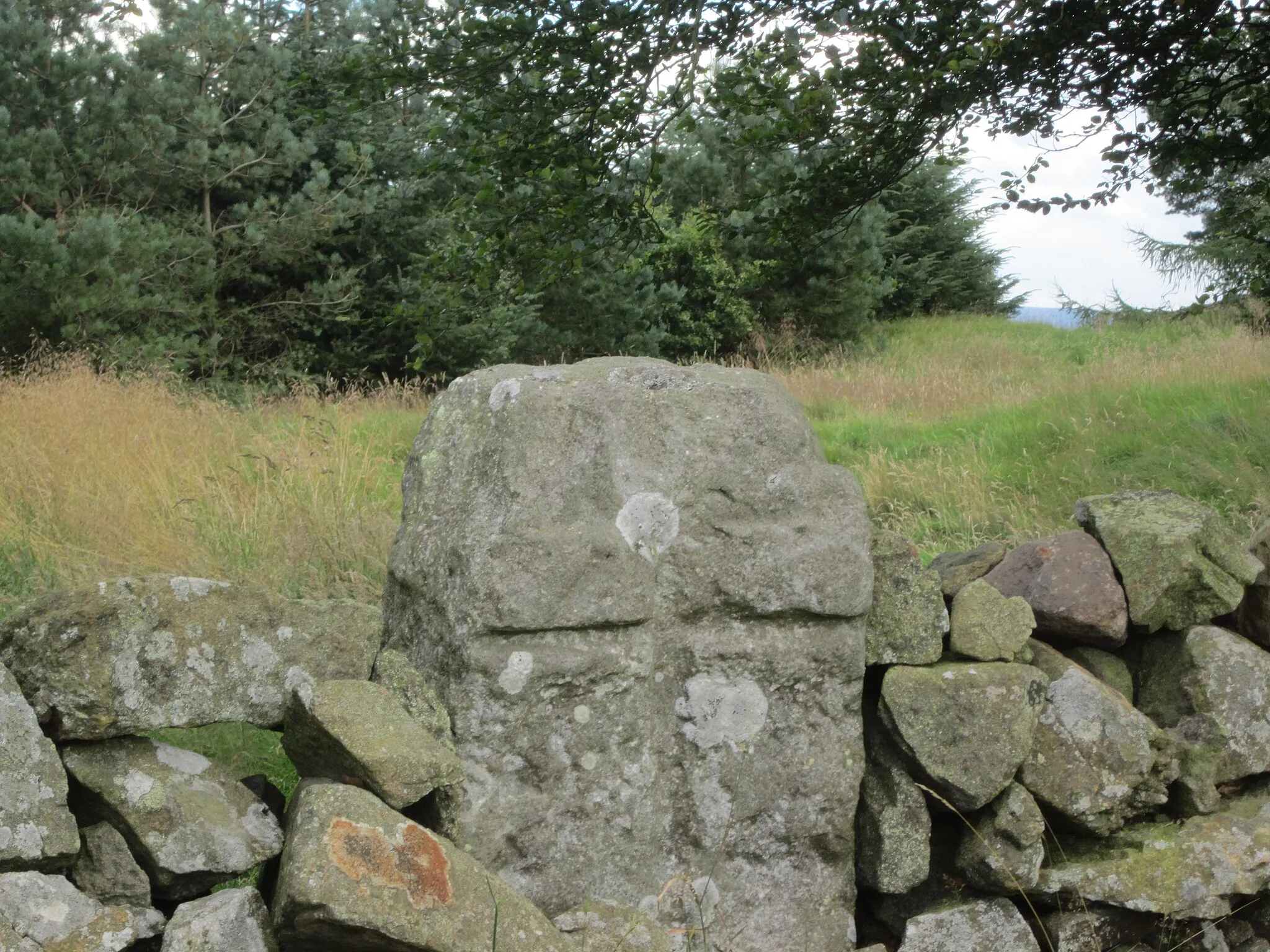 Photo showing: Refuge Stone in wall at Witchcraig Hill