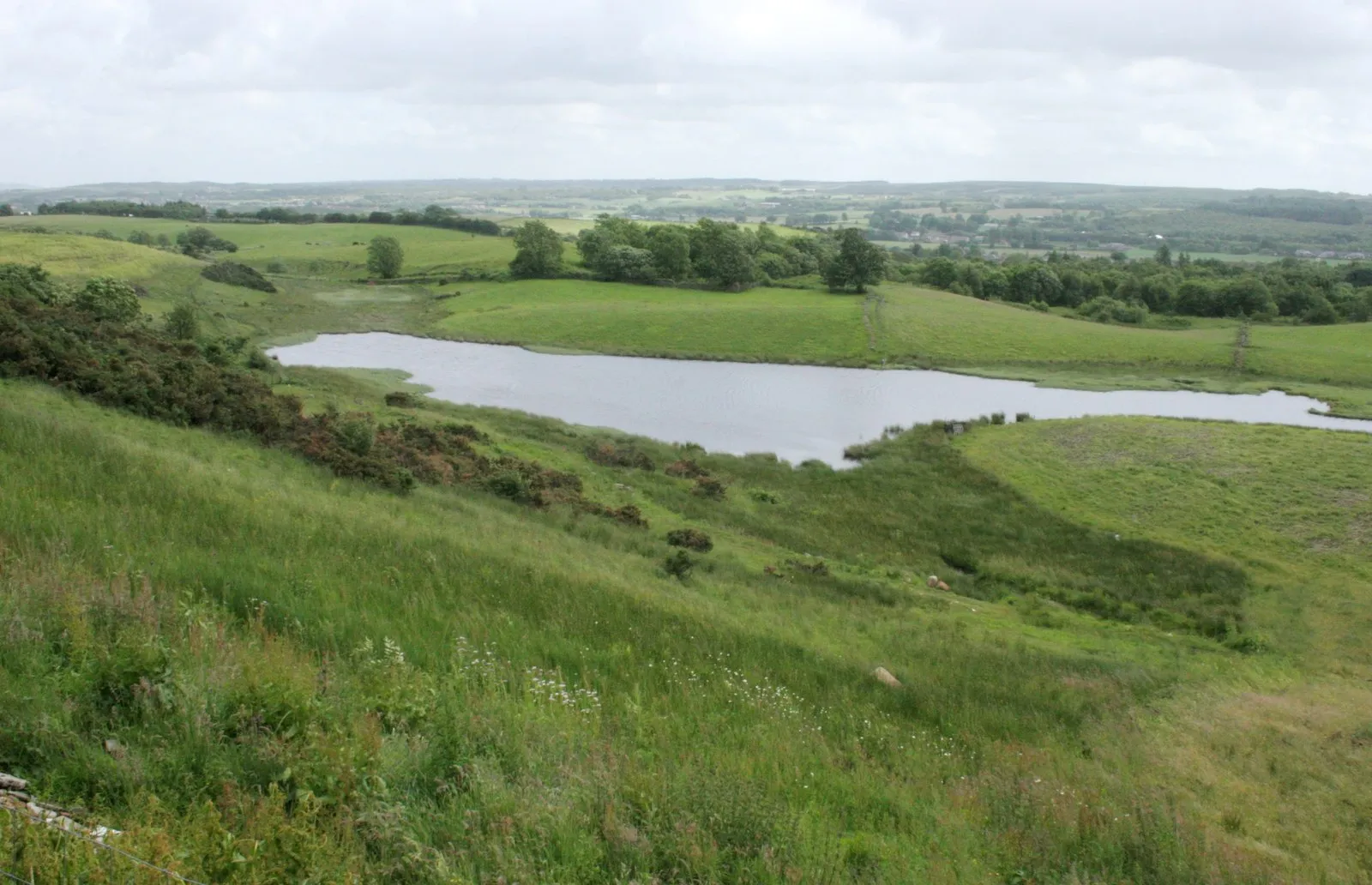 Photo showing: Small loch near Braeface