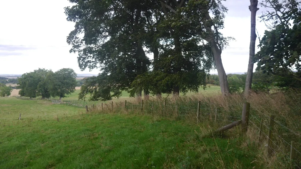 Photo showing: Stripwood, Harle Rigging