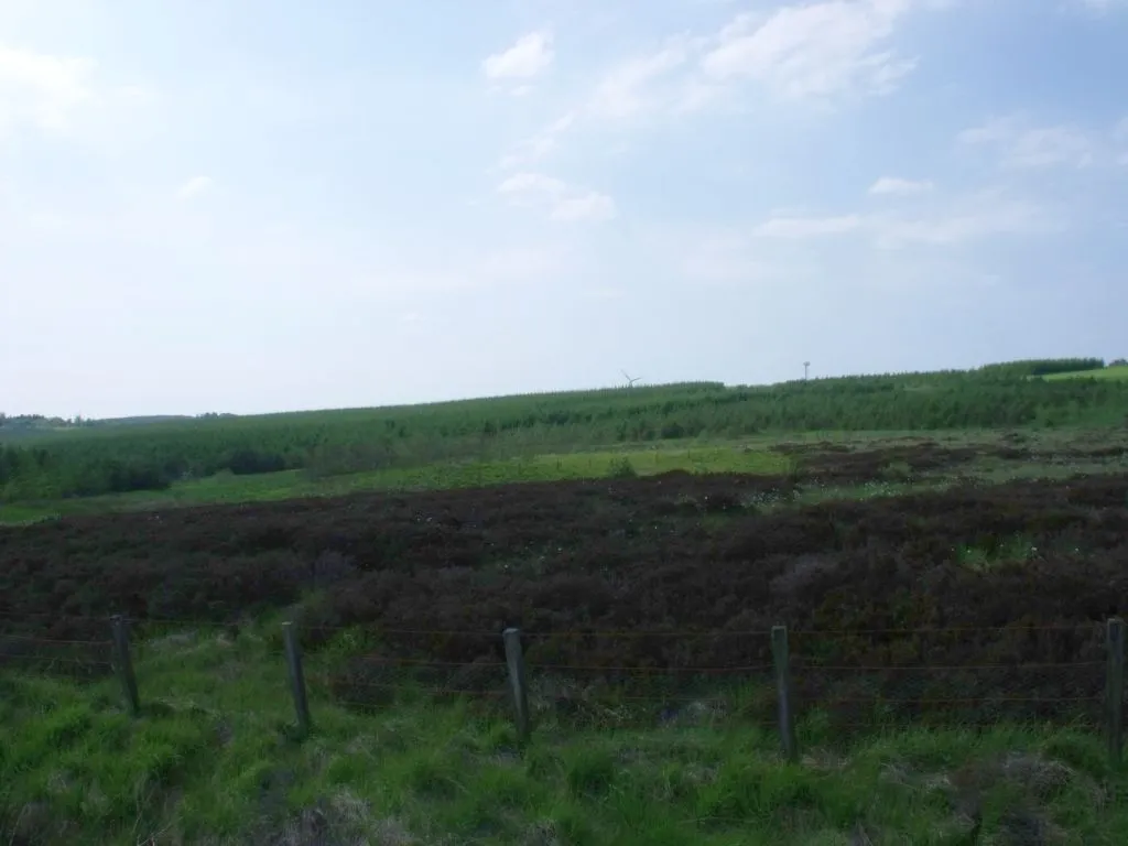 Photo showing: Drumbow, Heather moor