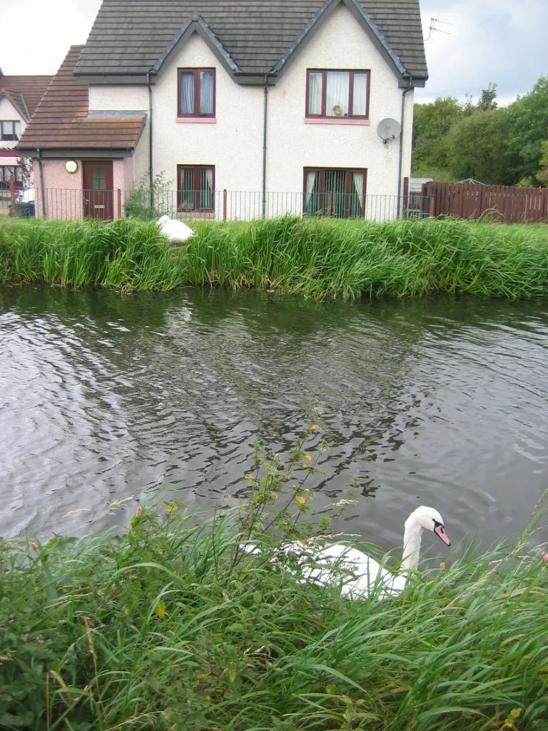 Photo showing: Union Canal, Broxburn, West Lothian, Scotland