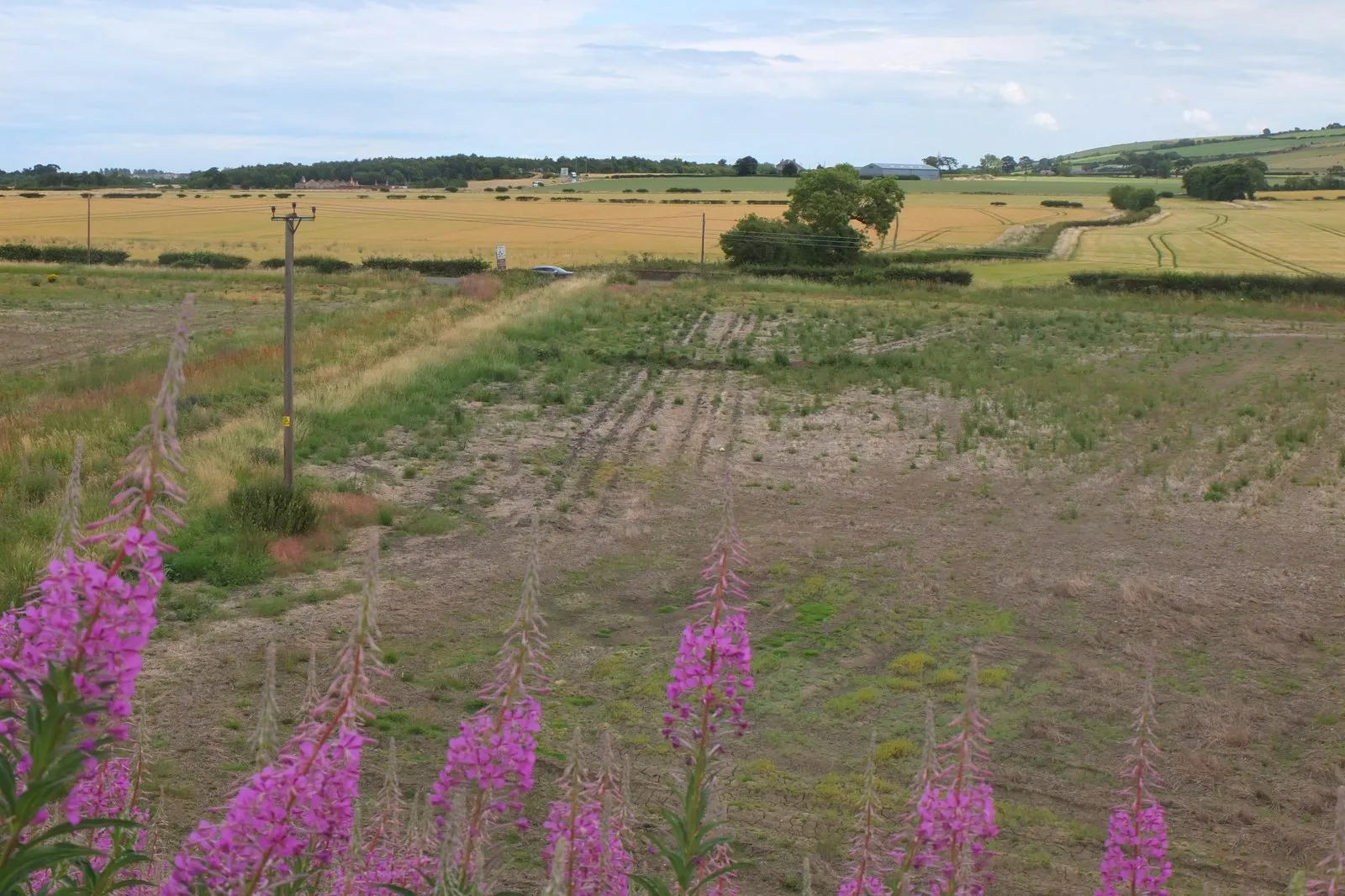 Photo showing: Farmland east of Whitecraig