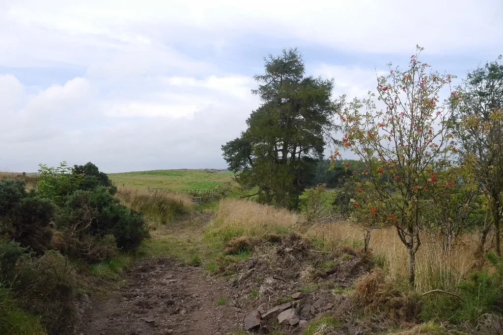 Photo showing: Rough road, Beins Hill