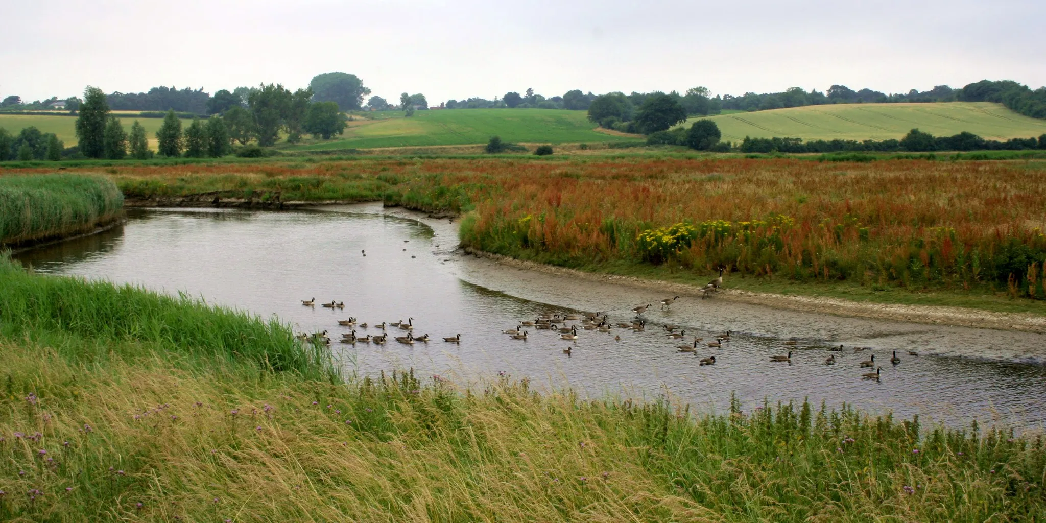 Photo showing: River Stour near Manningtree in July 2013.