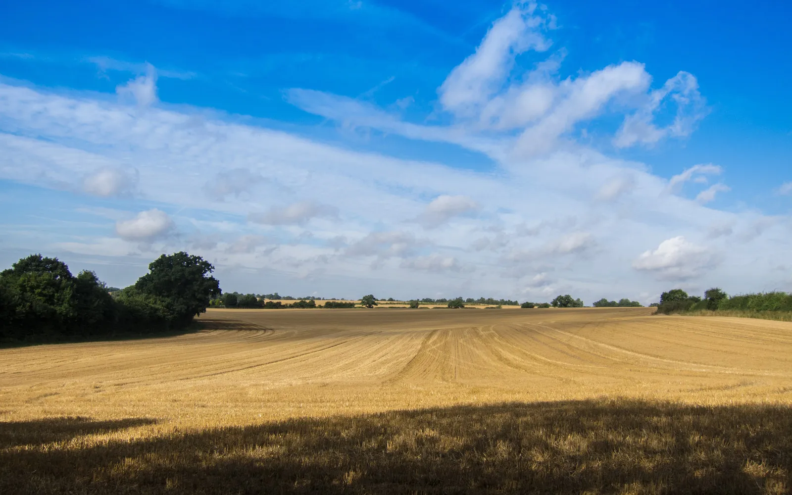 Photo showing: Fields south of Hall Road