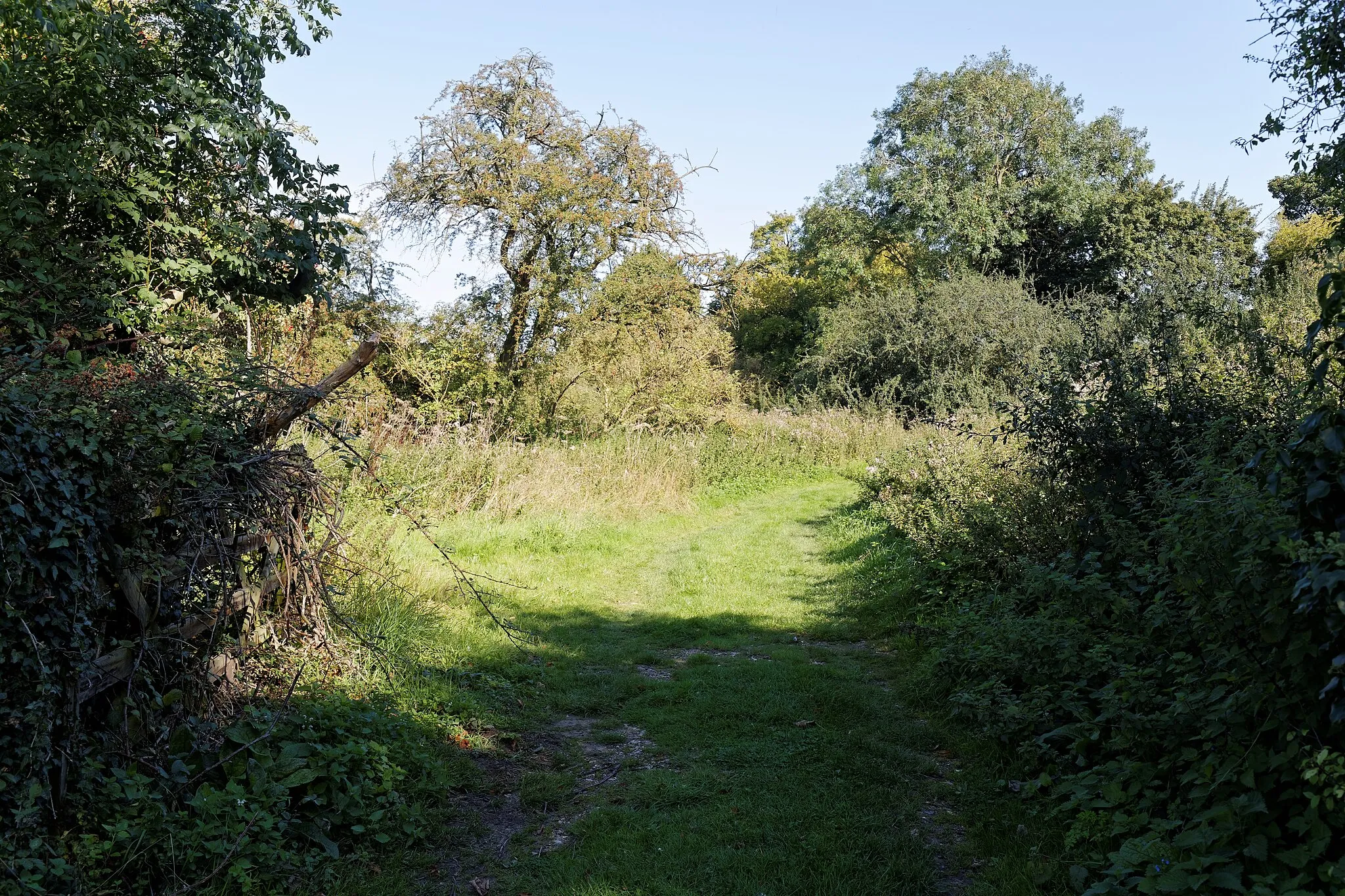 Photo showing: A bridleway looking east from the Grade II* listed 13th-century Church of St Simon and St Jude at Quendon, Essex, England. Software: RAW file lens-corrected, optimized and converted to JPEG with DxO OpticsPro 10 Elite, and likely further optimized and/or cropped and/or spun with Adobe Photoshop CS2.