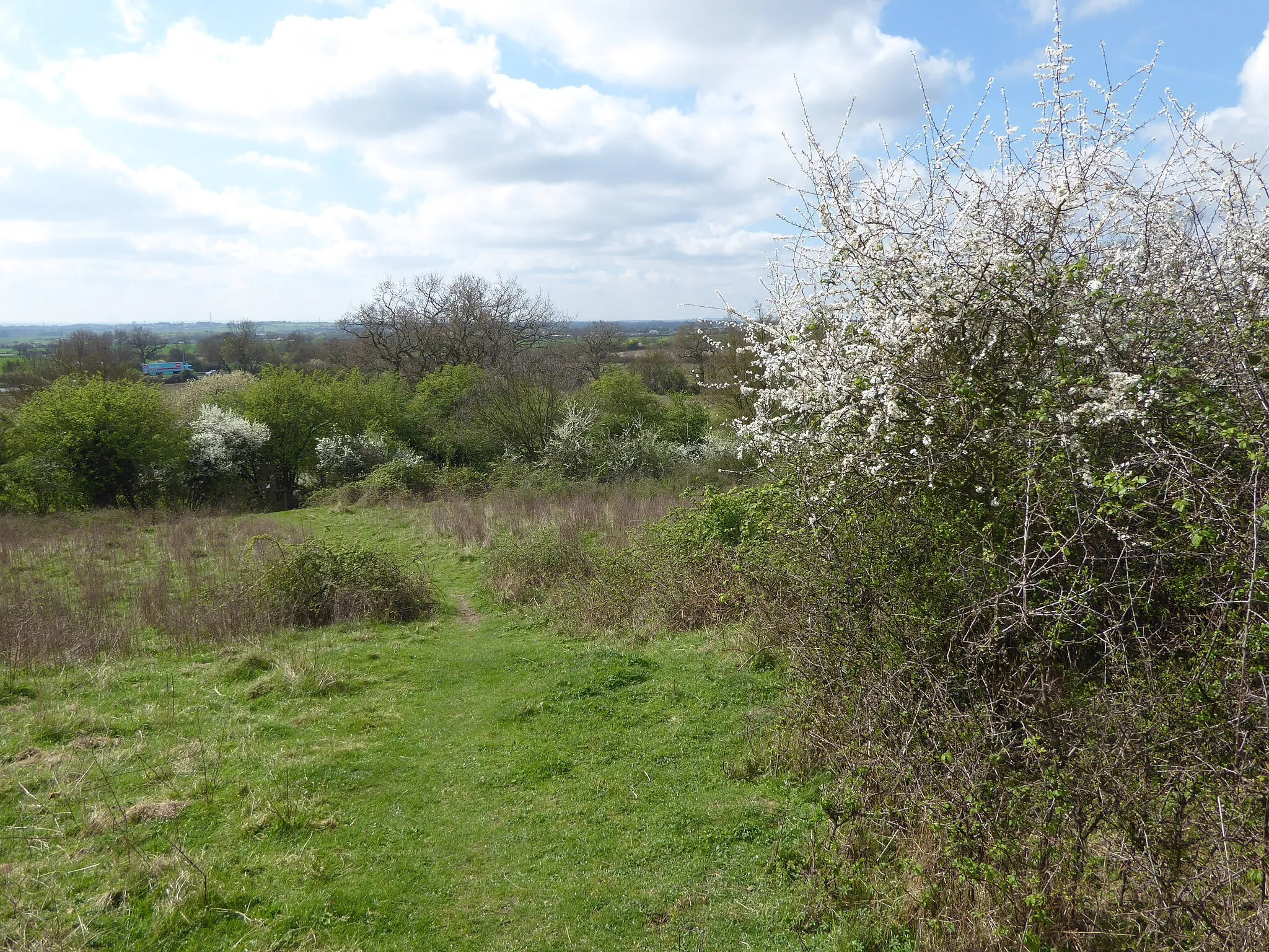 Photo showing: Path down from Jury Hill