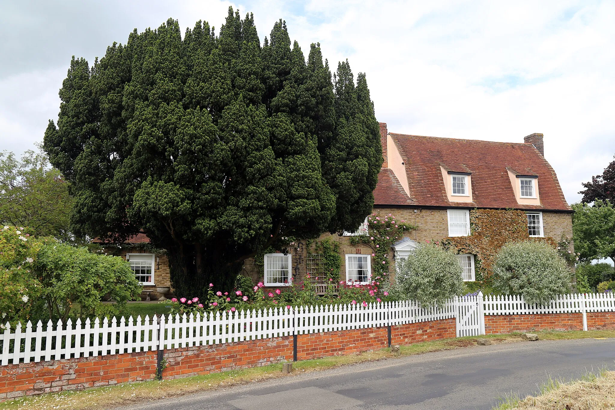 Photo showing: A house with walled rose garden with yew tree on Fox Road at Mashbury, Essex, England