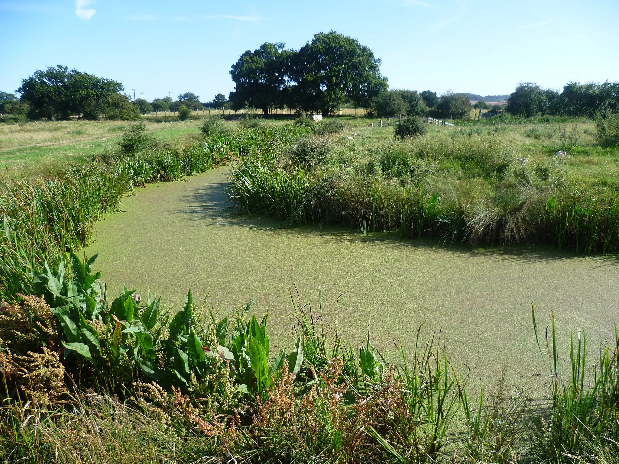 Photo showing: Dyke on Higham Marshes