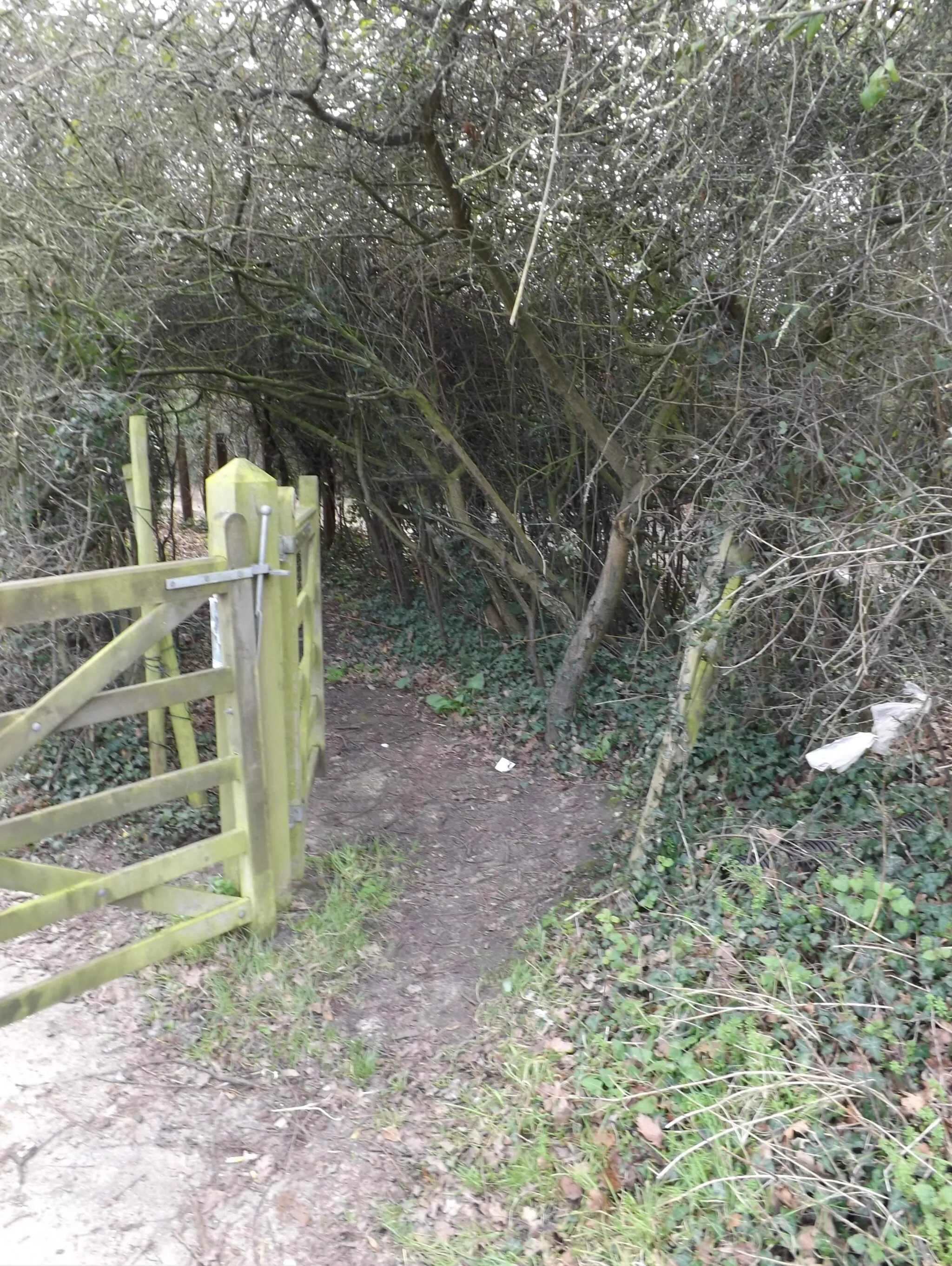 Photo showing: Bloultswood Road Footpath to Blounts Wood & The Rayleigh Club Golf Course