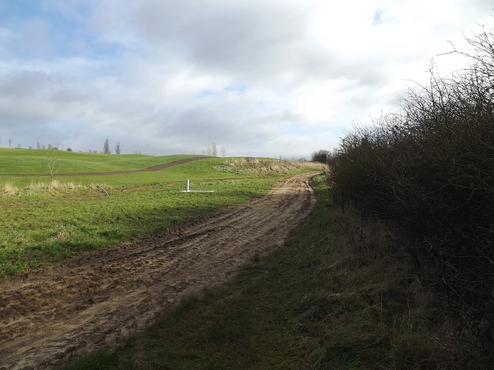 Photo showing: Bloultswood Road Footpath to Blounts Wood