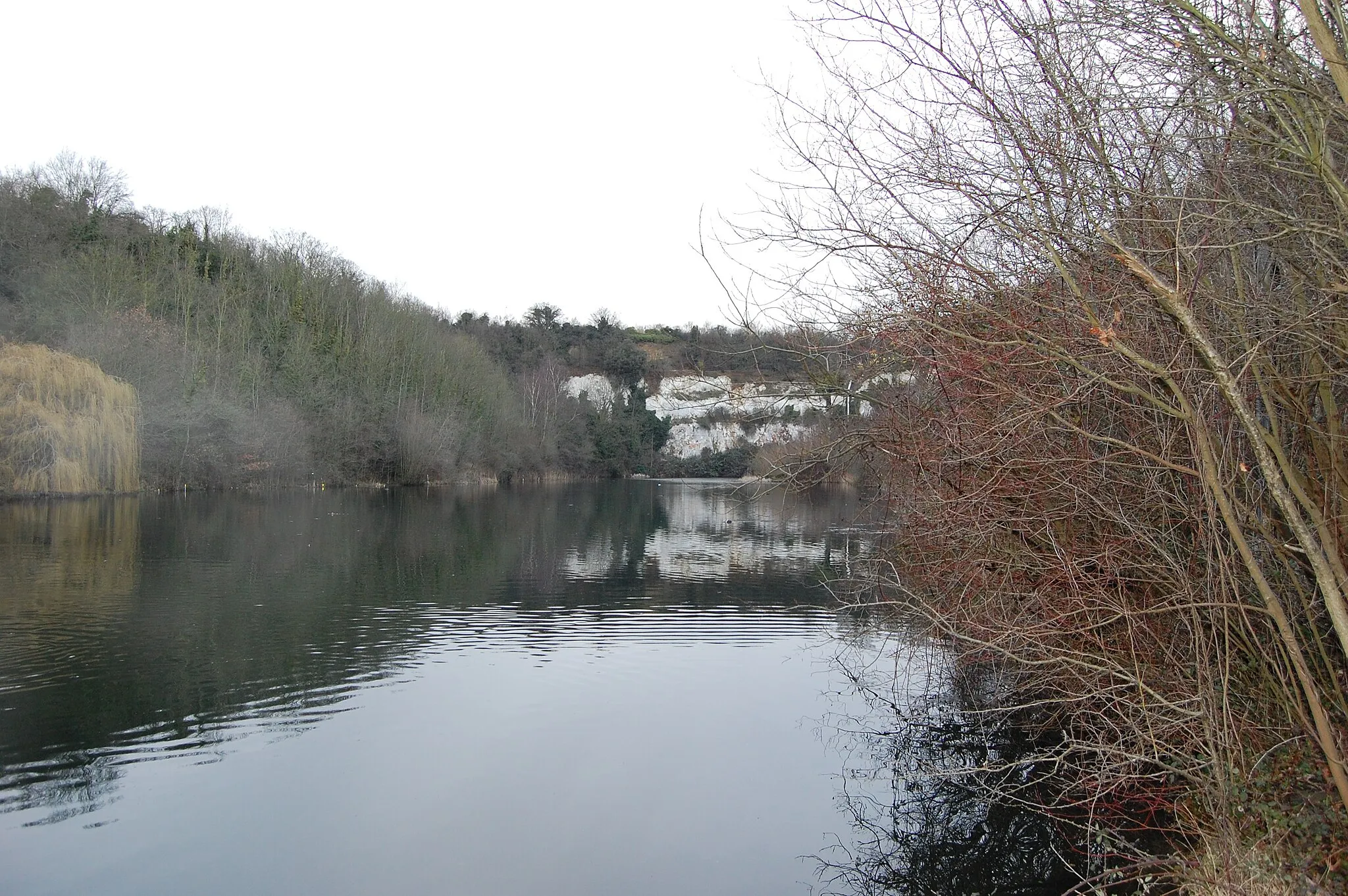 Photo showing: The lake in Lion Pit SSSI looking north.