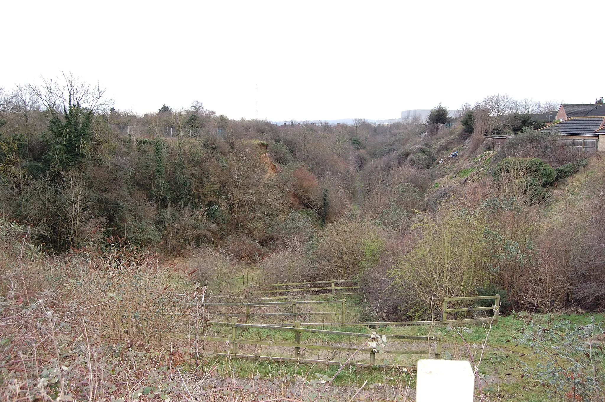 Photo showing: The southern section of Lion Pit SSI, looking south.