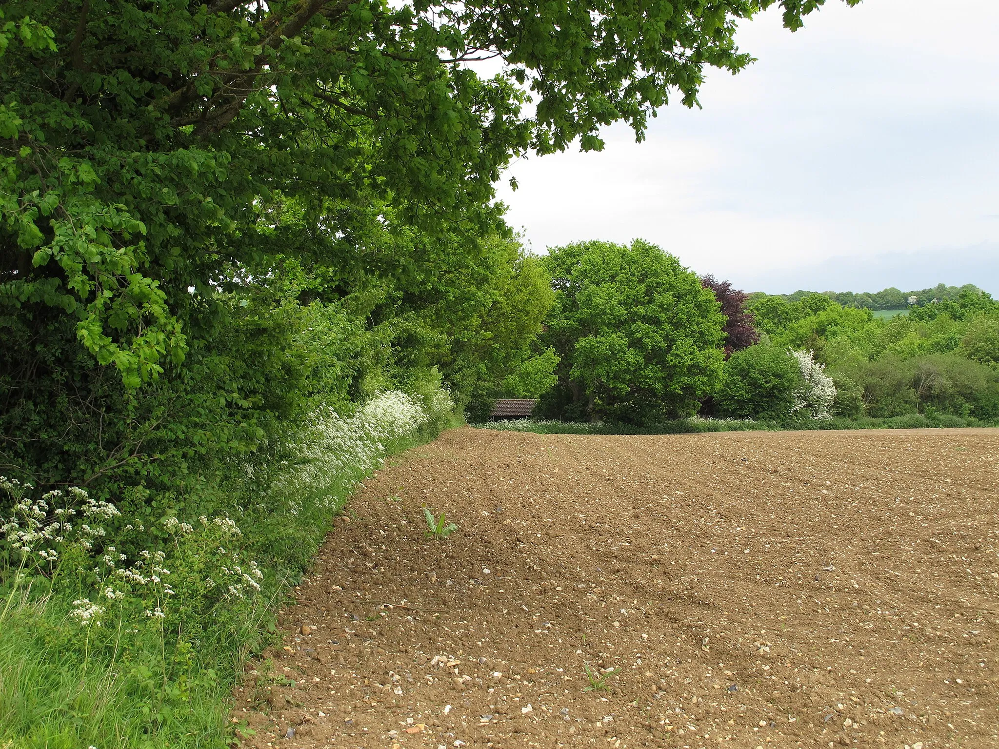 Photo showing: Arable field on parish boundary, Kettlebaston