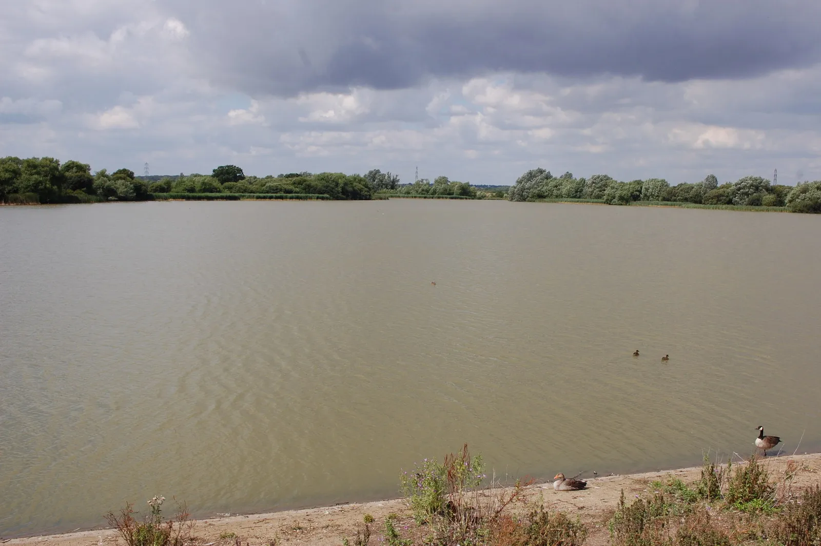 Photo showing: Abberton Reservoir