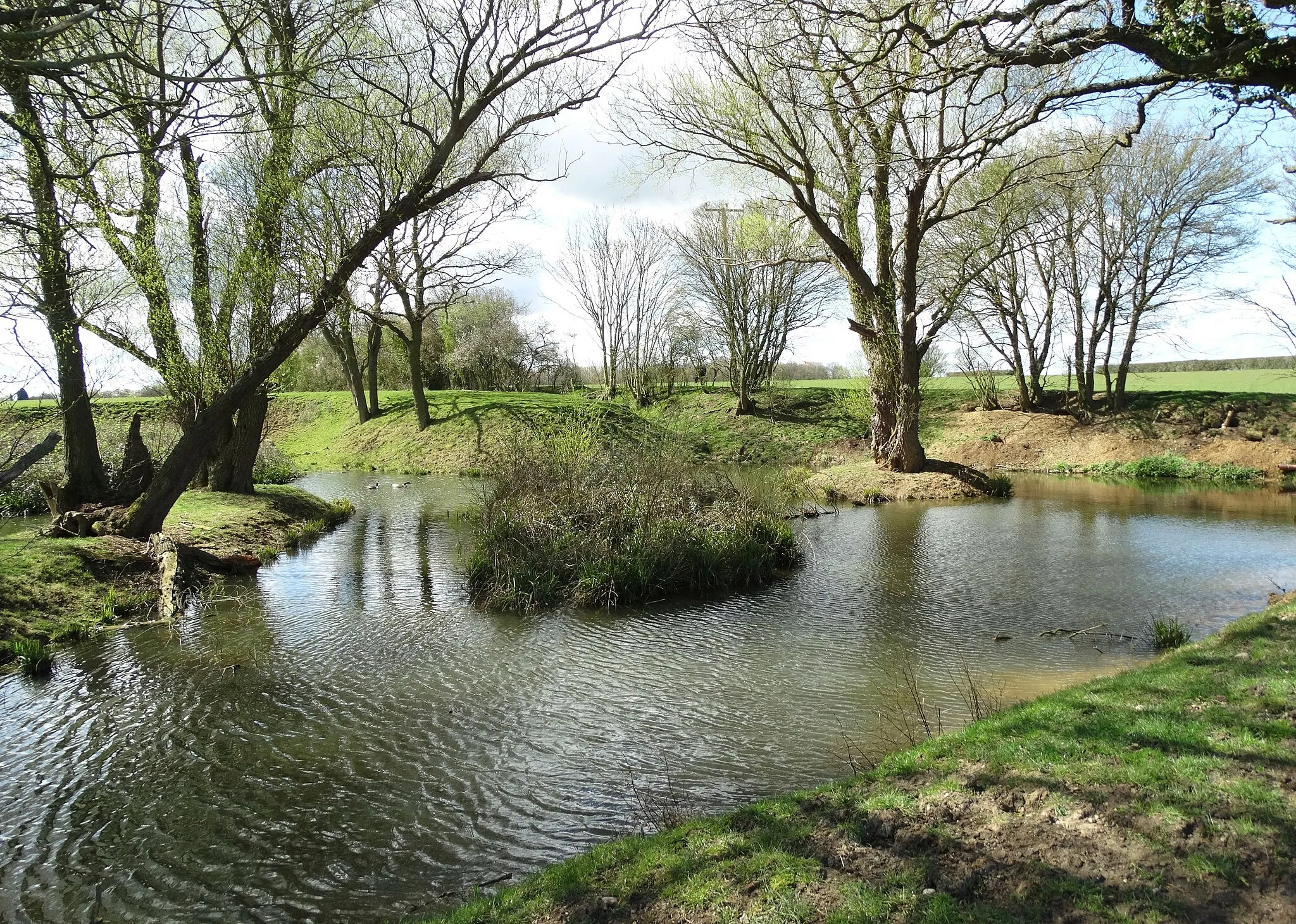 Photo showing: Tye Green Pond near Stock, Essex