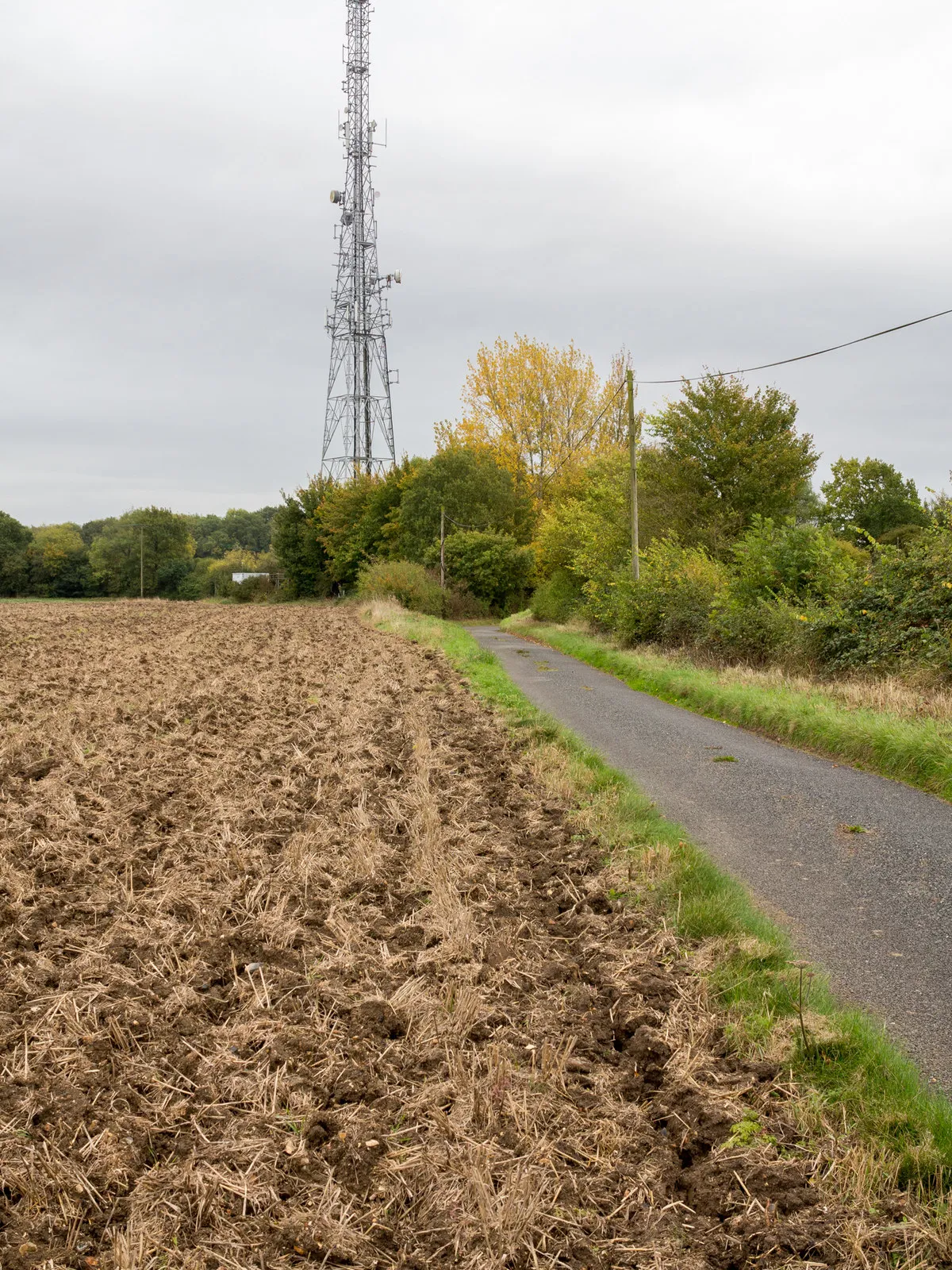 Photo showing: Road leading to mast