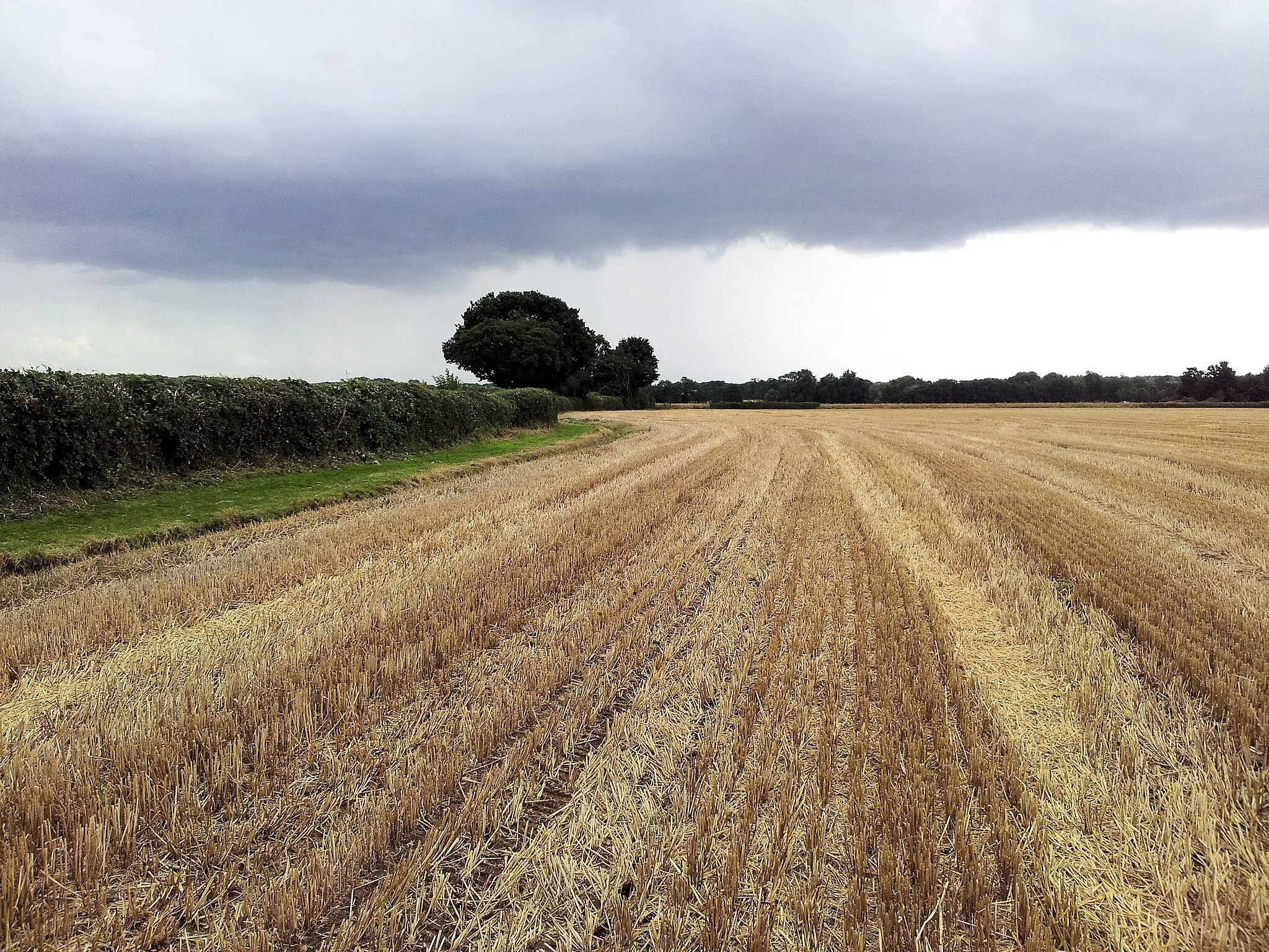 Photo showing: Footpath through a recently harvested wheat field