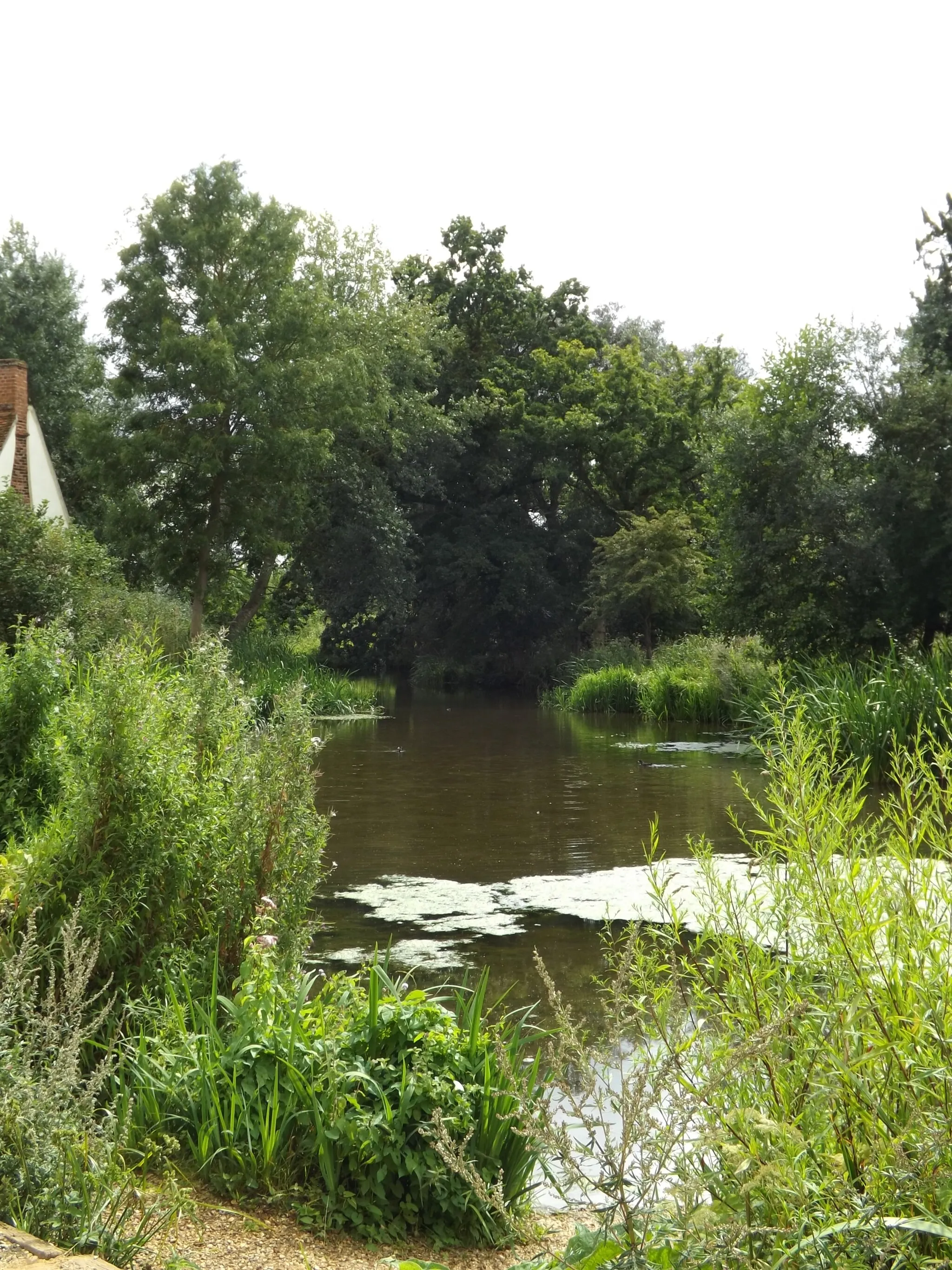 Photo showing: Mill Pond at Flatford Mill