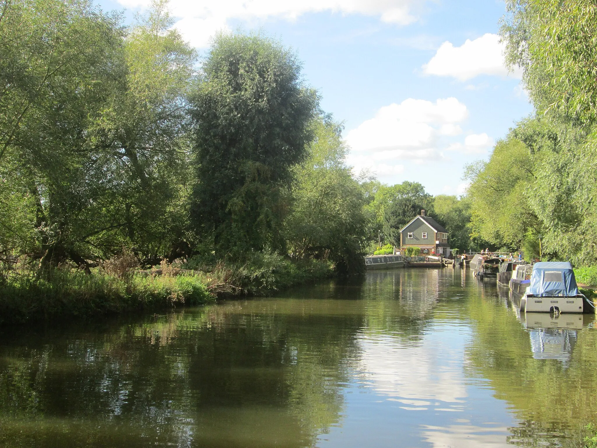 Photo showing: Canal towing path approach to Roydon Lock from the east