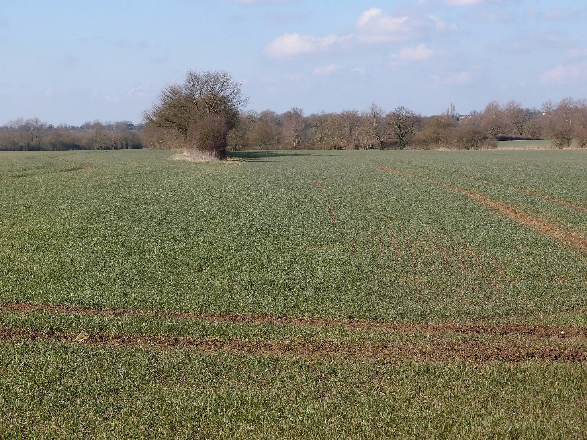 Photo showing: Arable fields in the Rodings