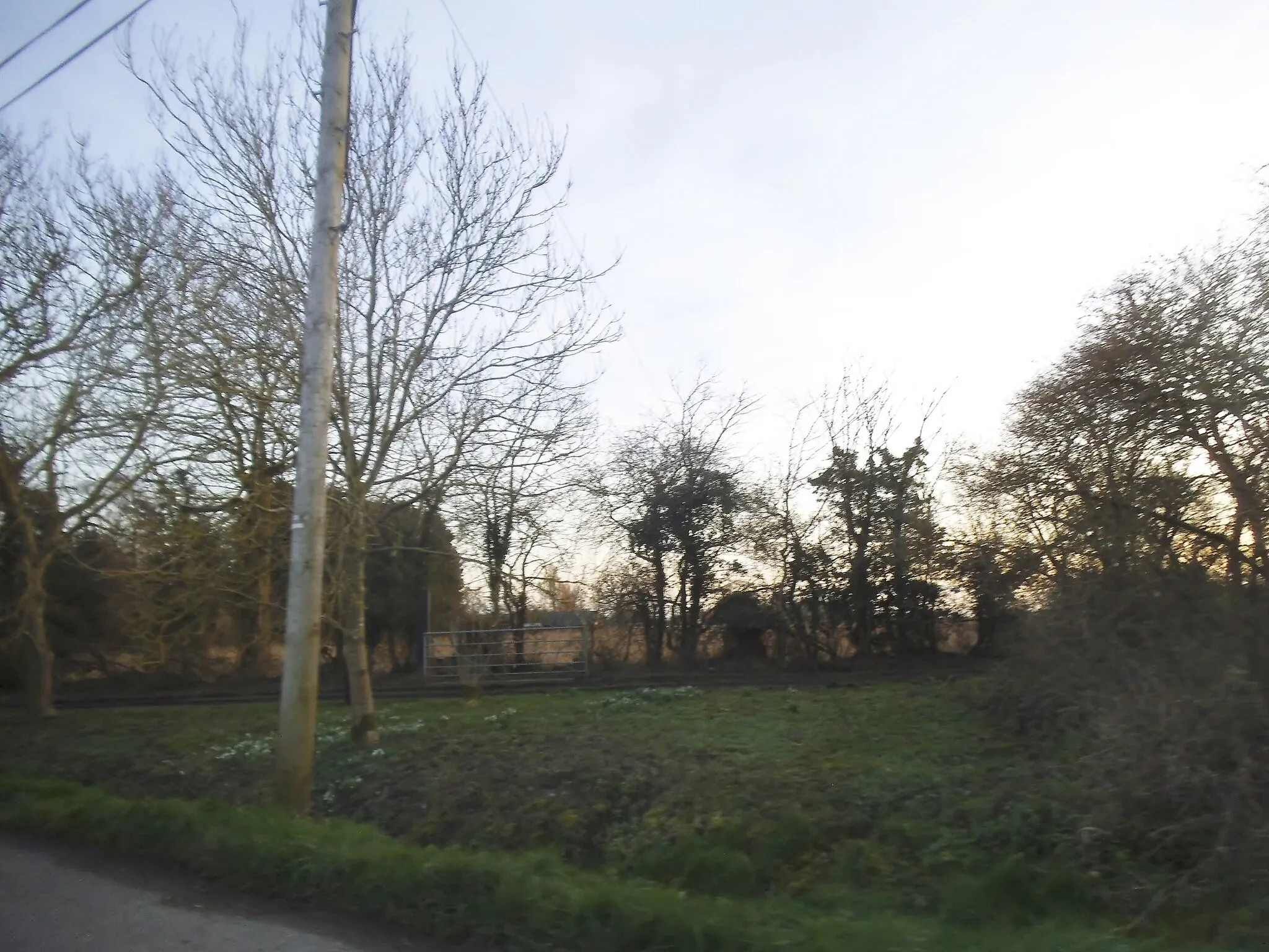 Photo showing: Verge by Kettle Green Road