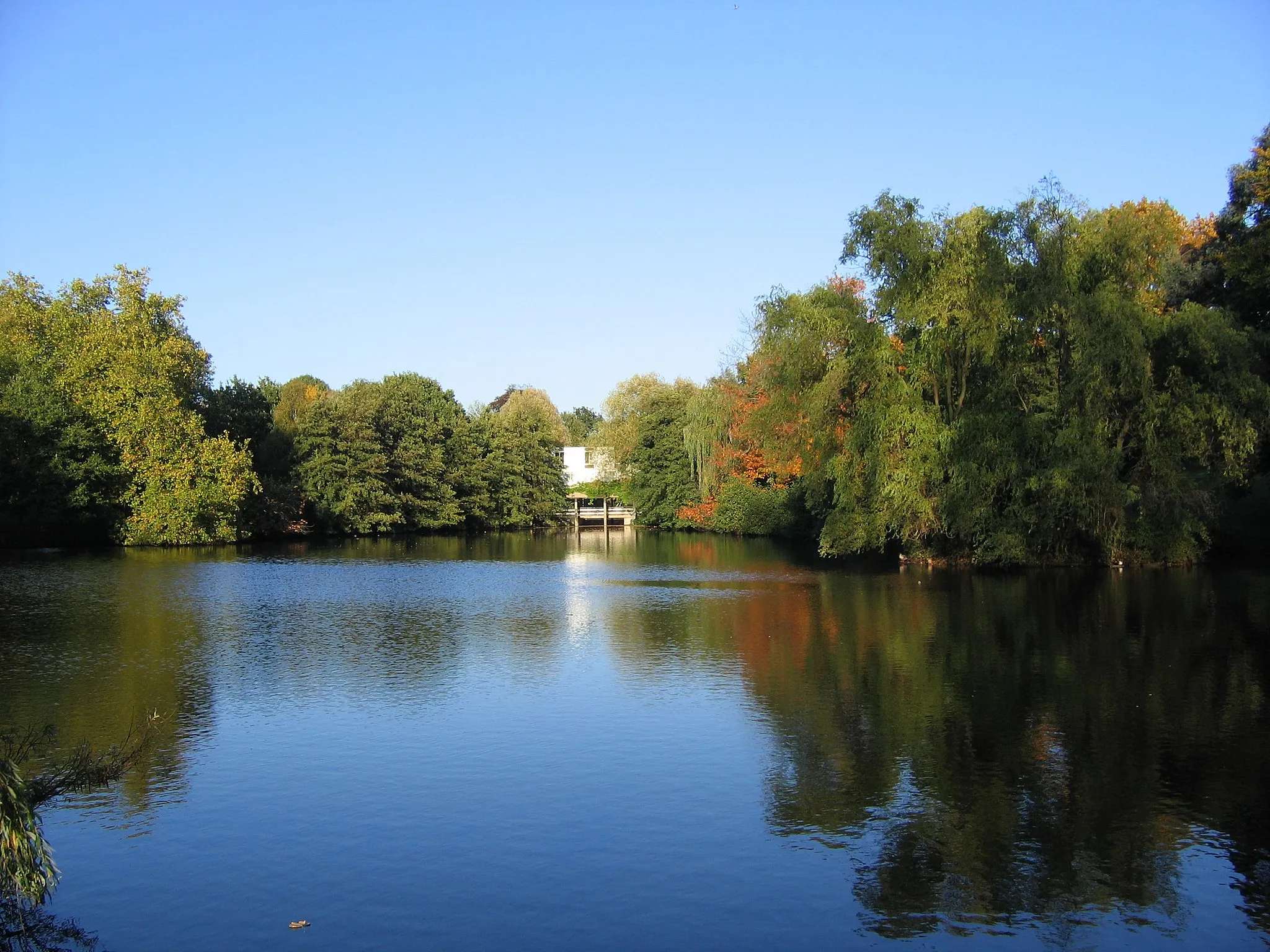 Photo showing: One of the lakes next to the Vice-Chancellor's House, University of Essex, on a sunny day