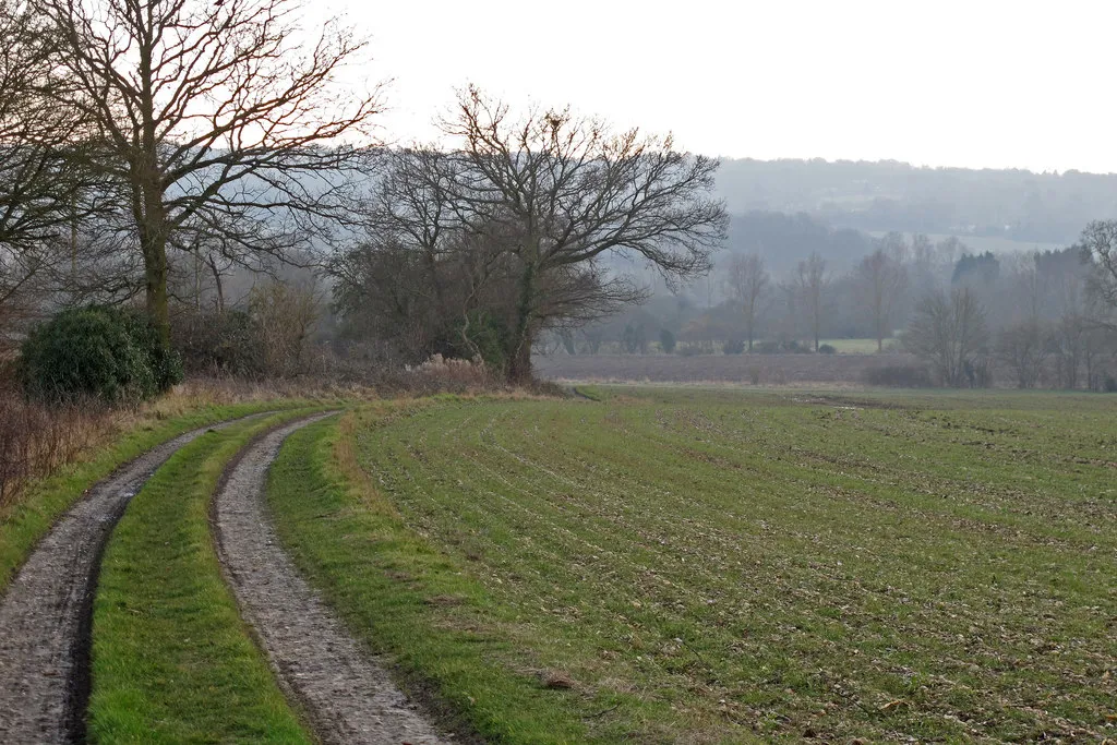 Photo showing: Footpath on farm track near Rickstones, Hatfield Peverel