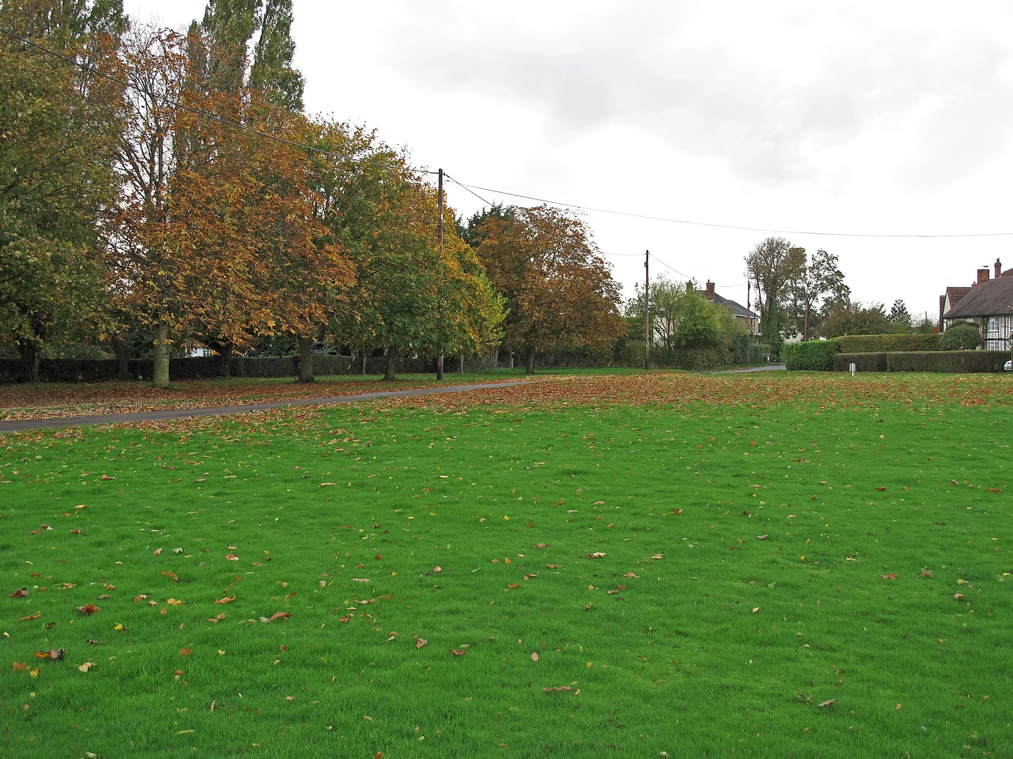 Photo showing: Autumn Colours, Bannister Green