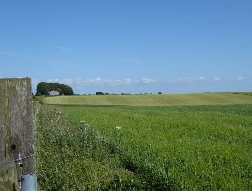 Photo showing: Farmland (with barn and clump), Pewsey Down