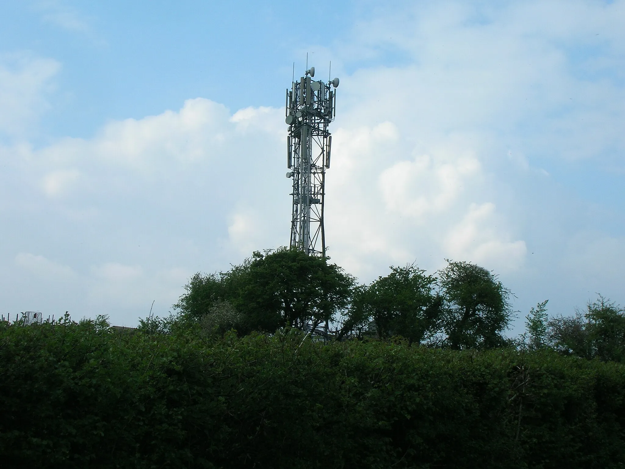 Photo showing: Mobile phone mast on Blackberry Hill