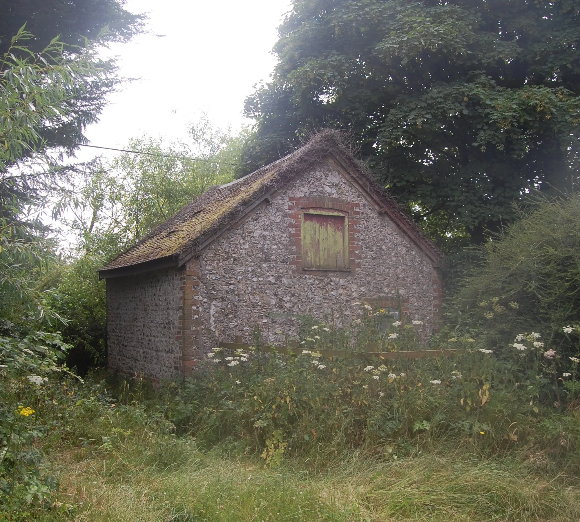 Photo showing: Derelict Shed, Church Lane, Tangley, Test Valley District, Hampshire, England.