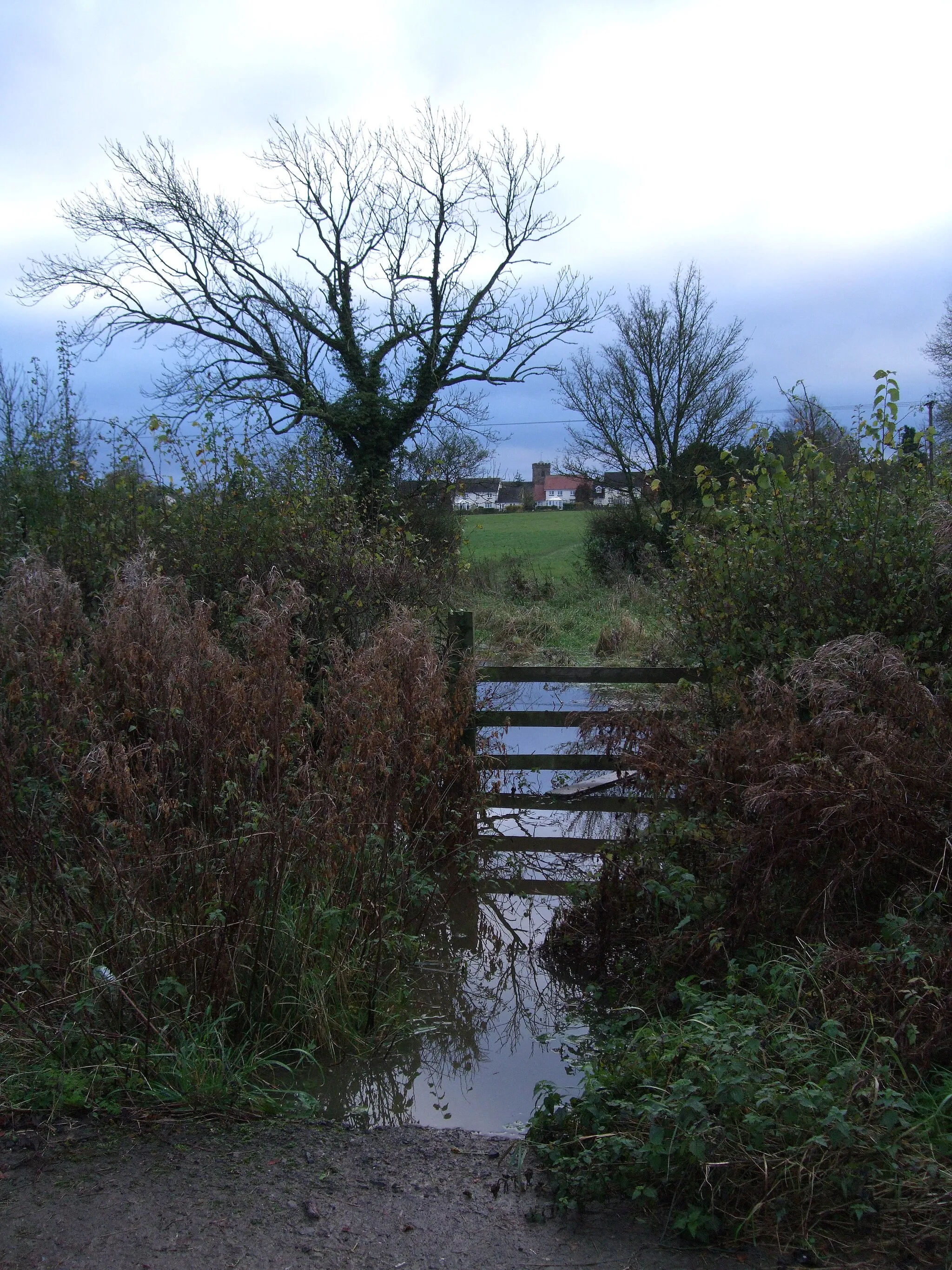 Photo showing: Flooded footpath, Brinkworth