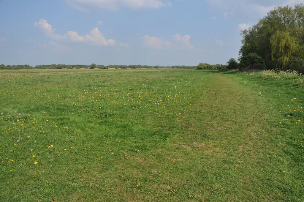 Photo showing: North Meadow