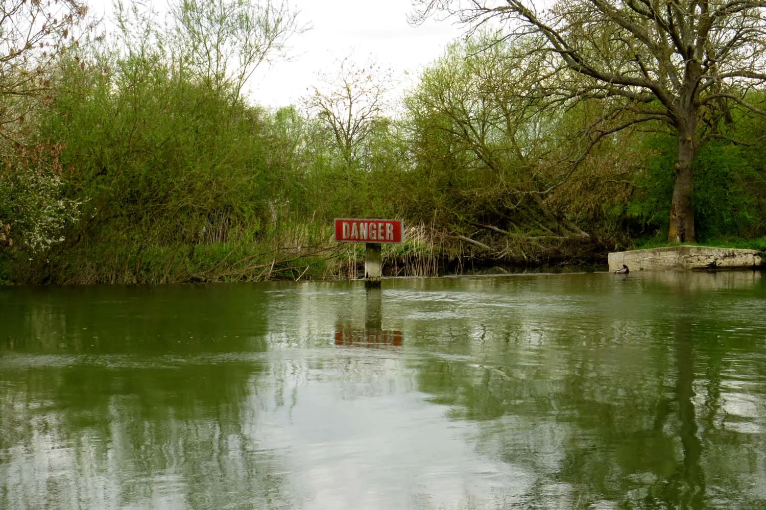 Photo showing: A weir from the River Thames
