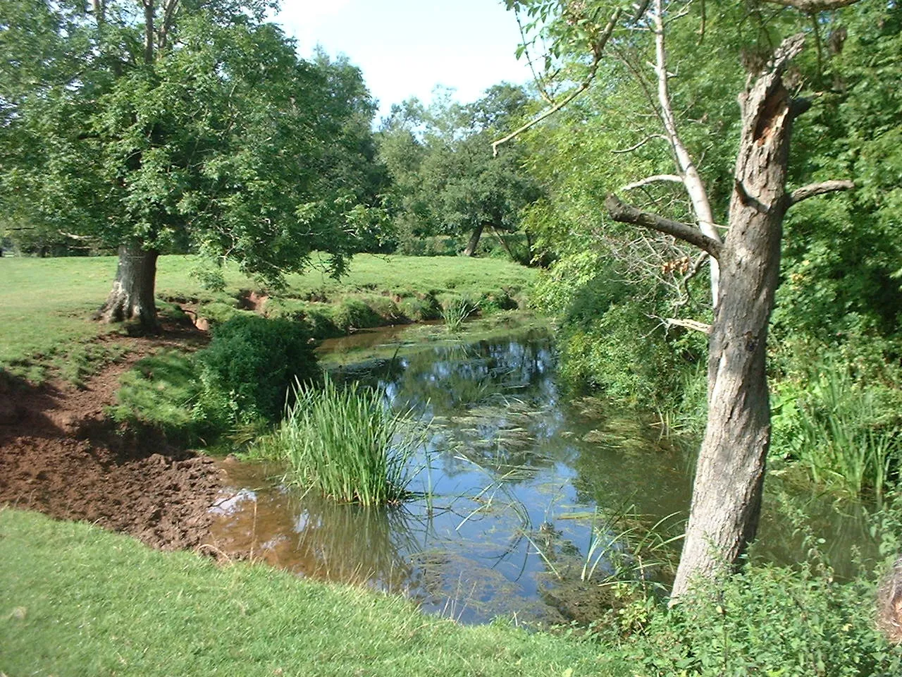 Photo showing: The River Chew between Stanton Drew and Pensford, Somerset.