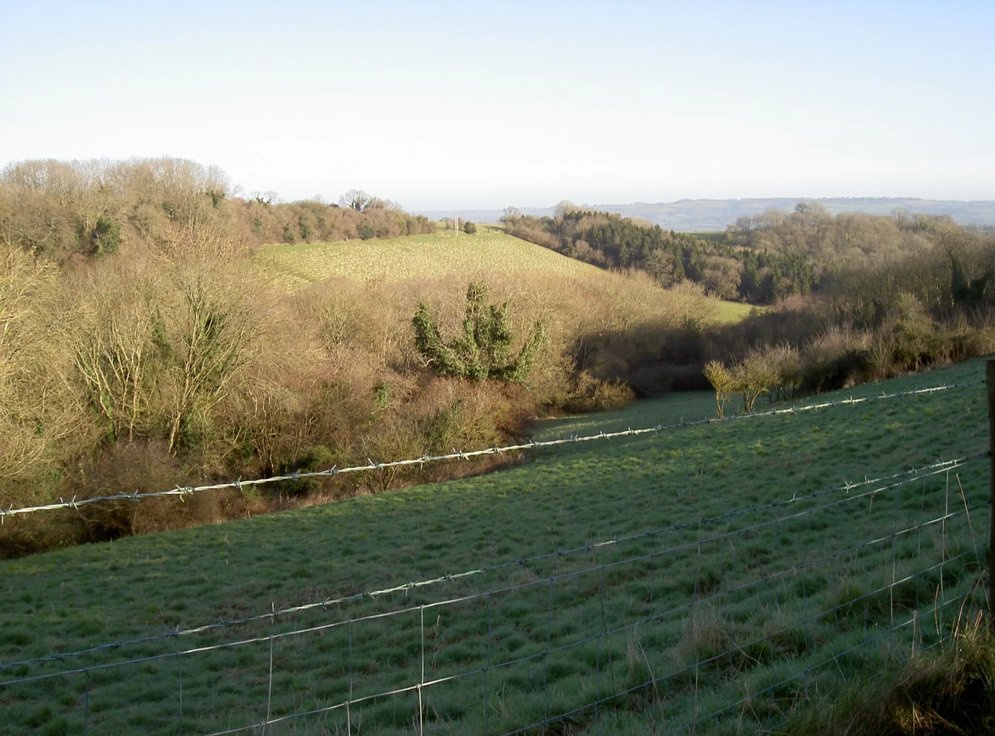 Photo showing: Wooscombe Bottom