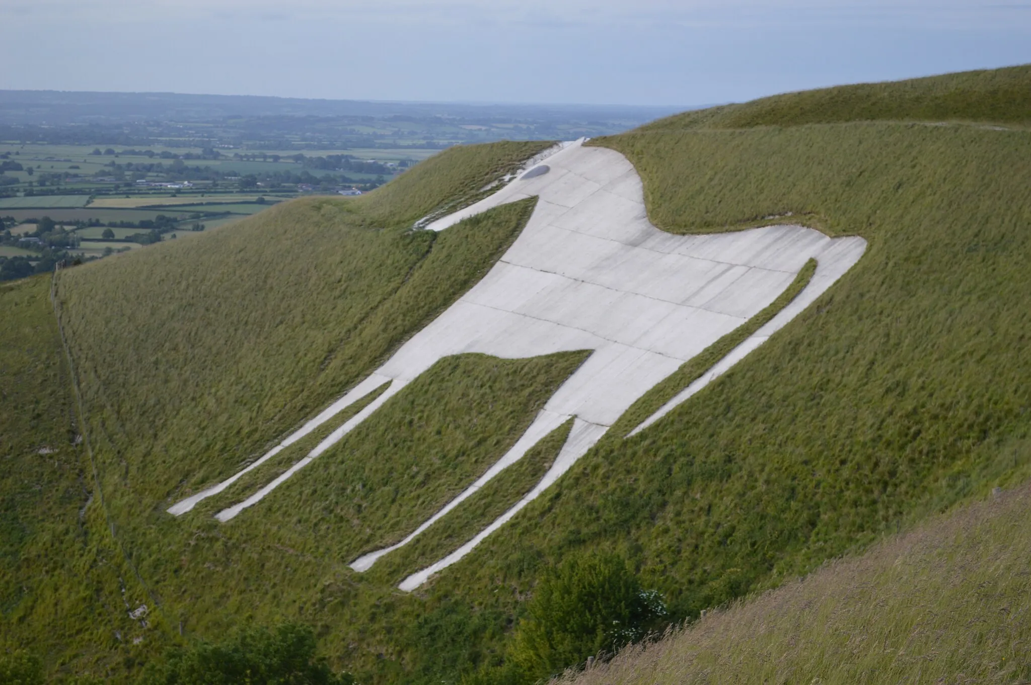 Photo showing: White Horse Near Westbury in Wiltshire, June 21st 2015.