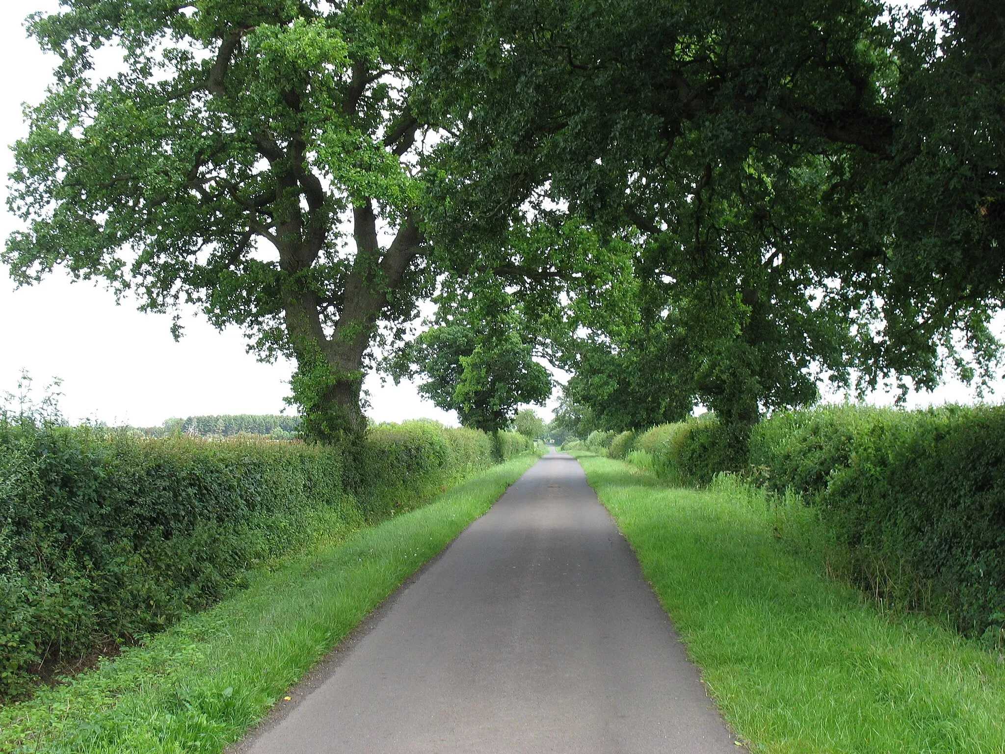 Photo showing: A lane to Hullavington