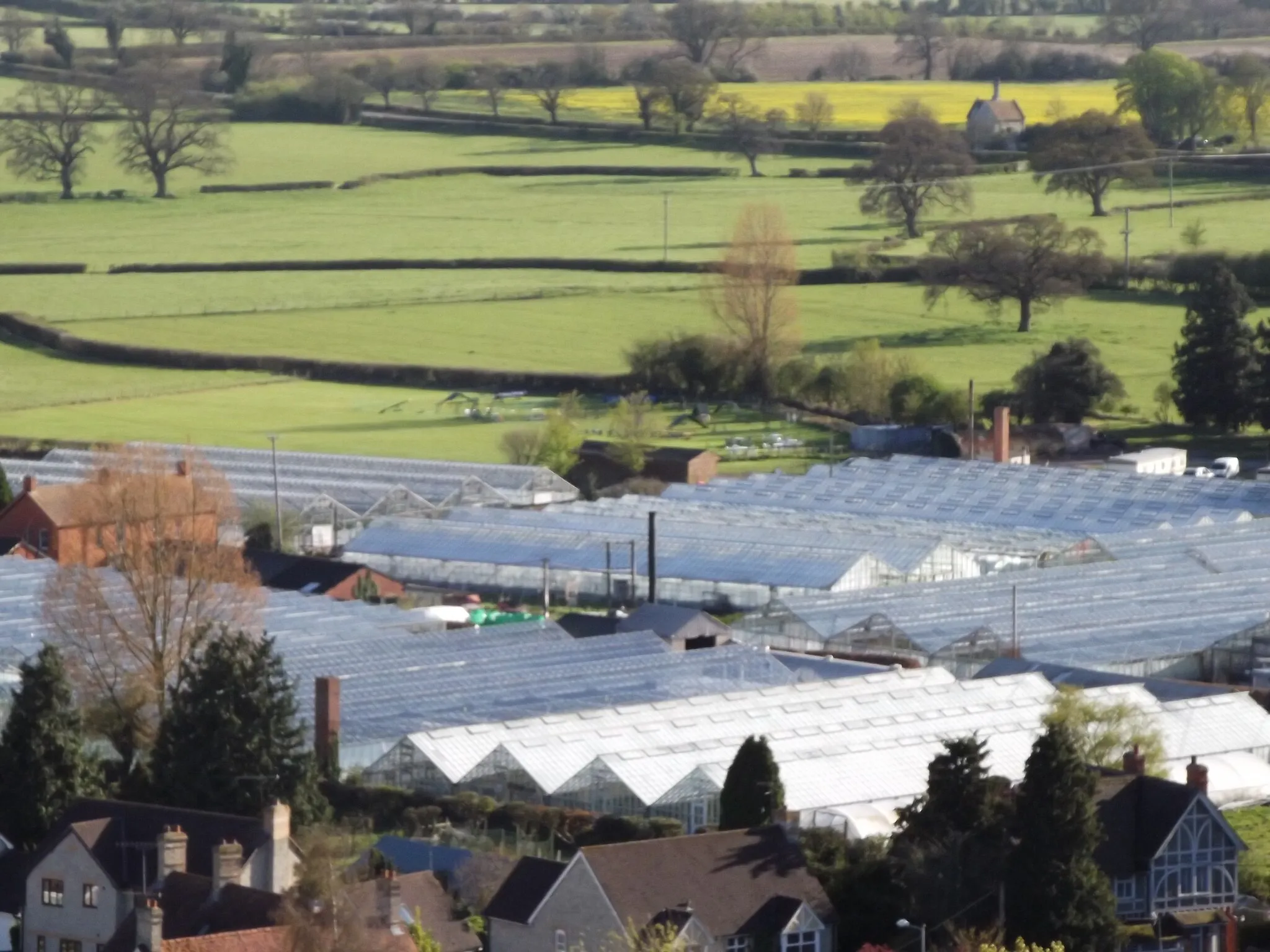 Photo showing: Town's End Nurseries, Mere