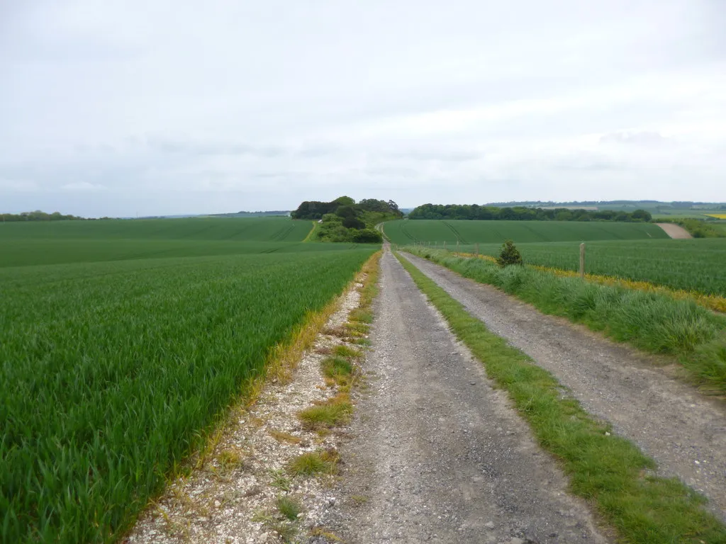 Photo showing: Black Hill, byway