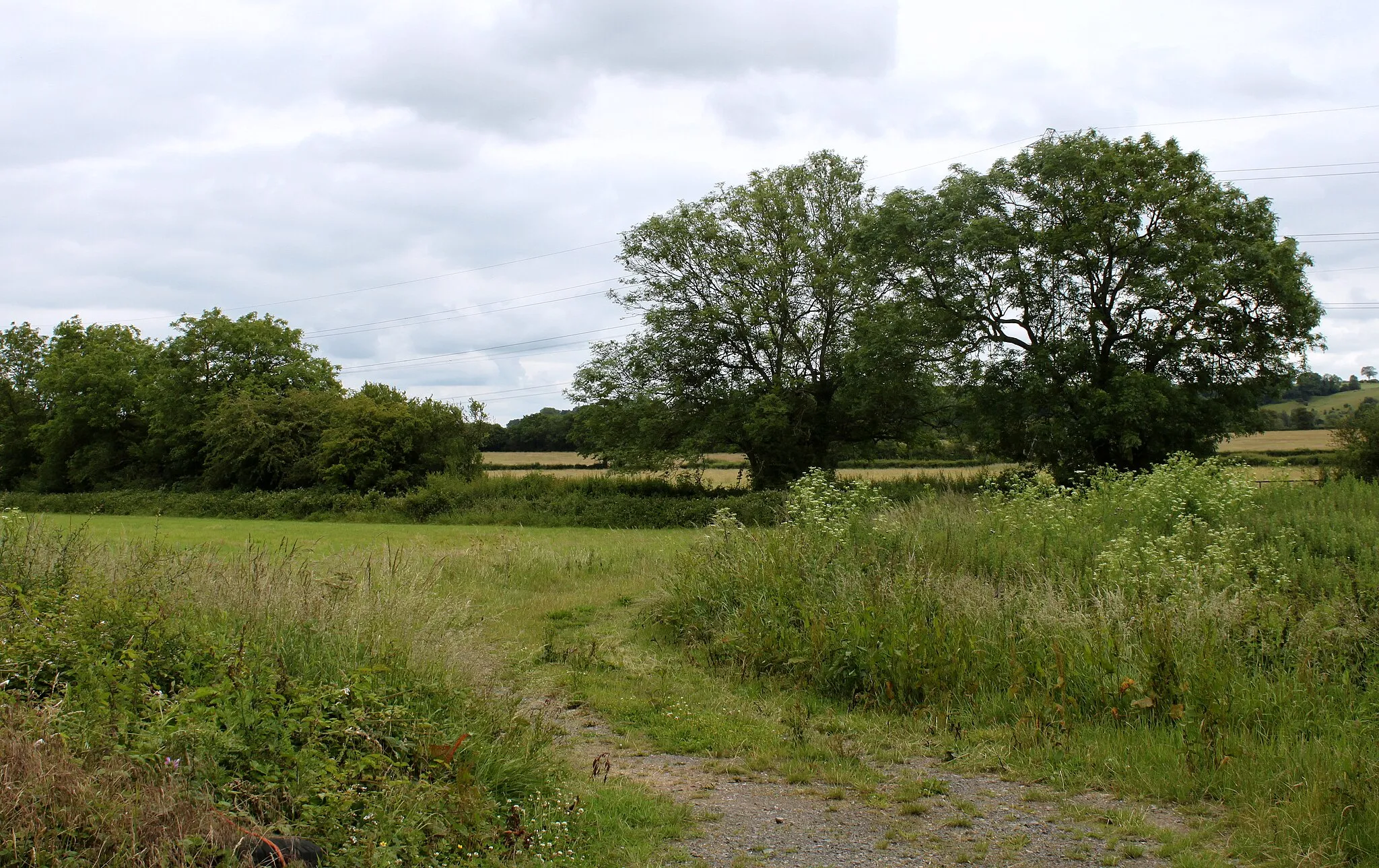 Photo showing: 2011 : Field track near Lydegreen Bridge