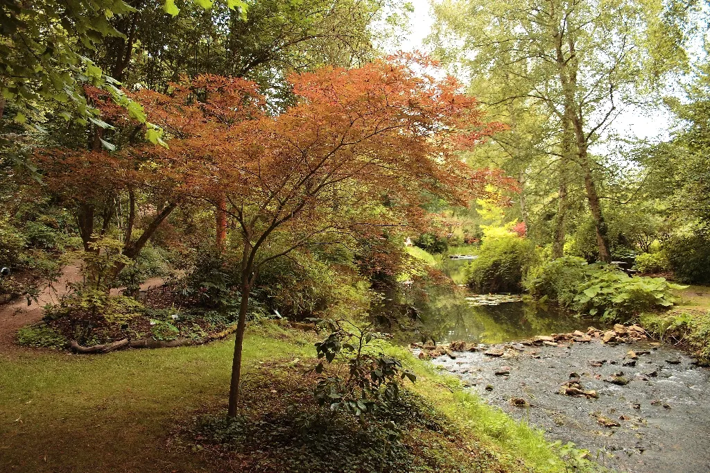 Photo showing: Abbey Gardens along Avon River in Malmesbury England