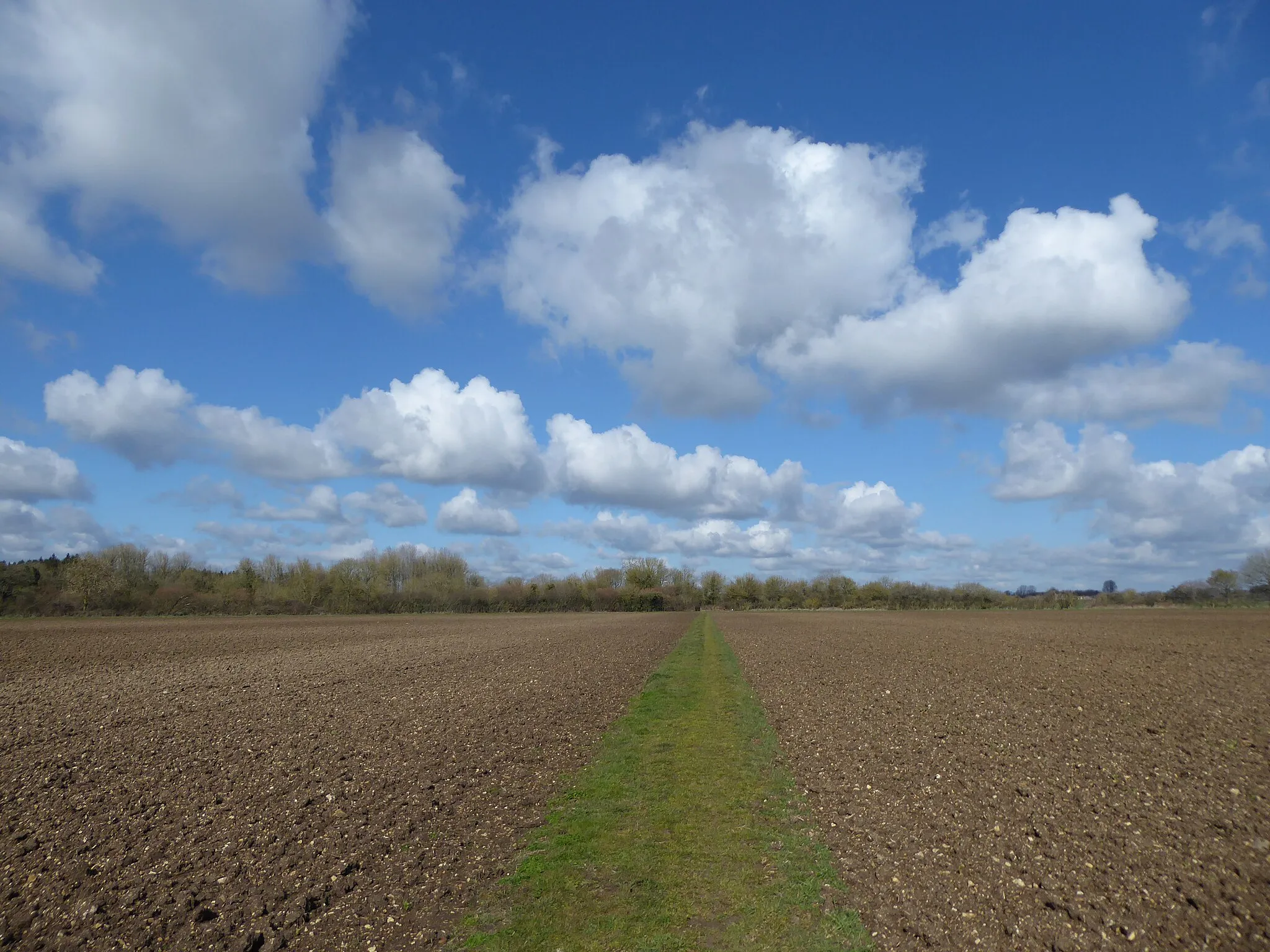 Photo showing: Bridleway to Charlham Farm House